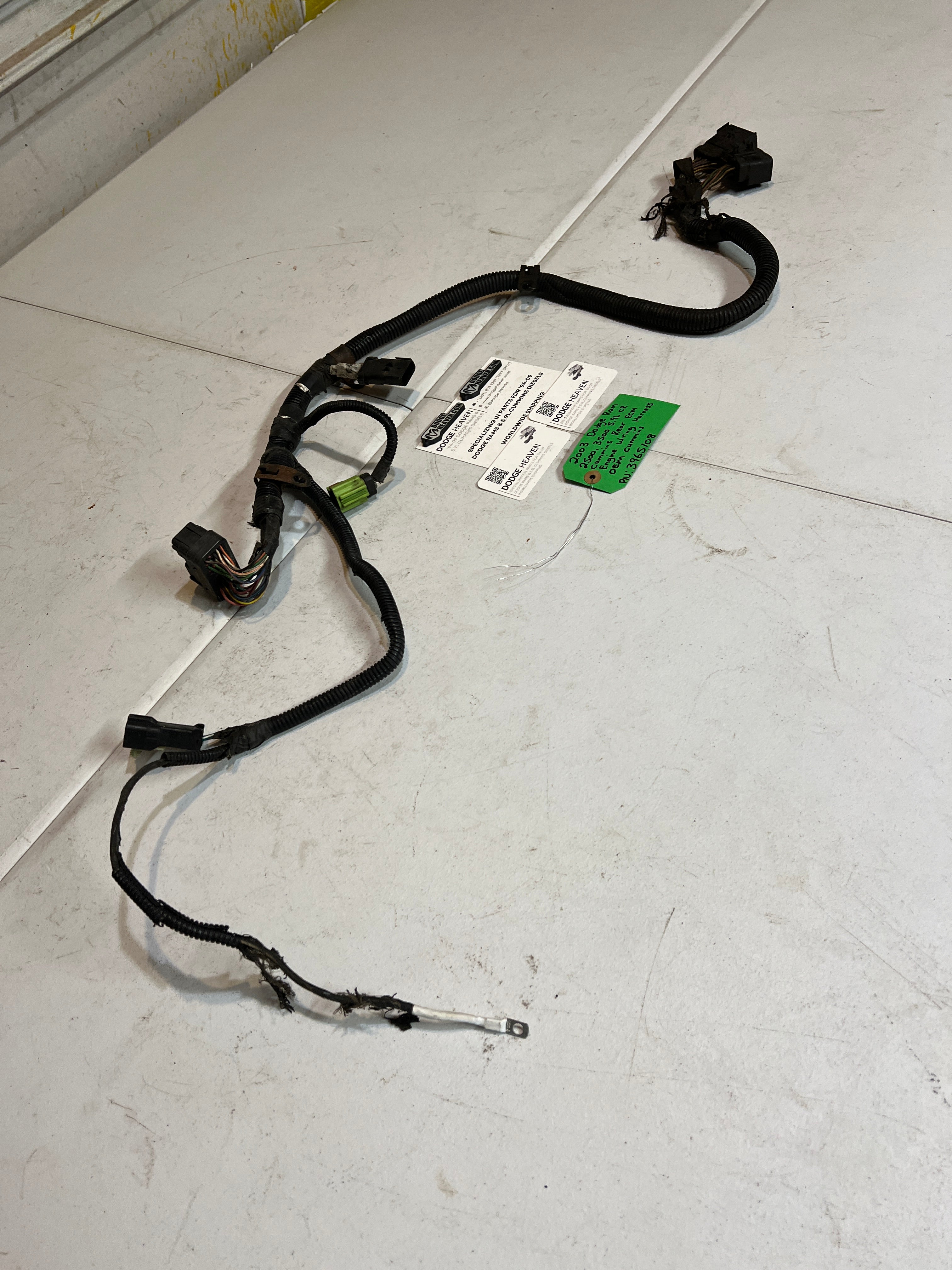 2003-2003 Dodge Ram 5.9L Cummins Rear ECM Engine Wiring Harness