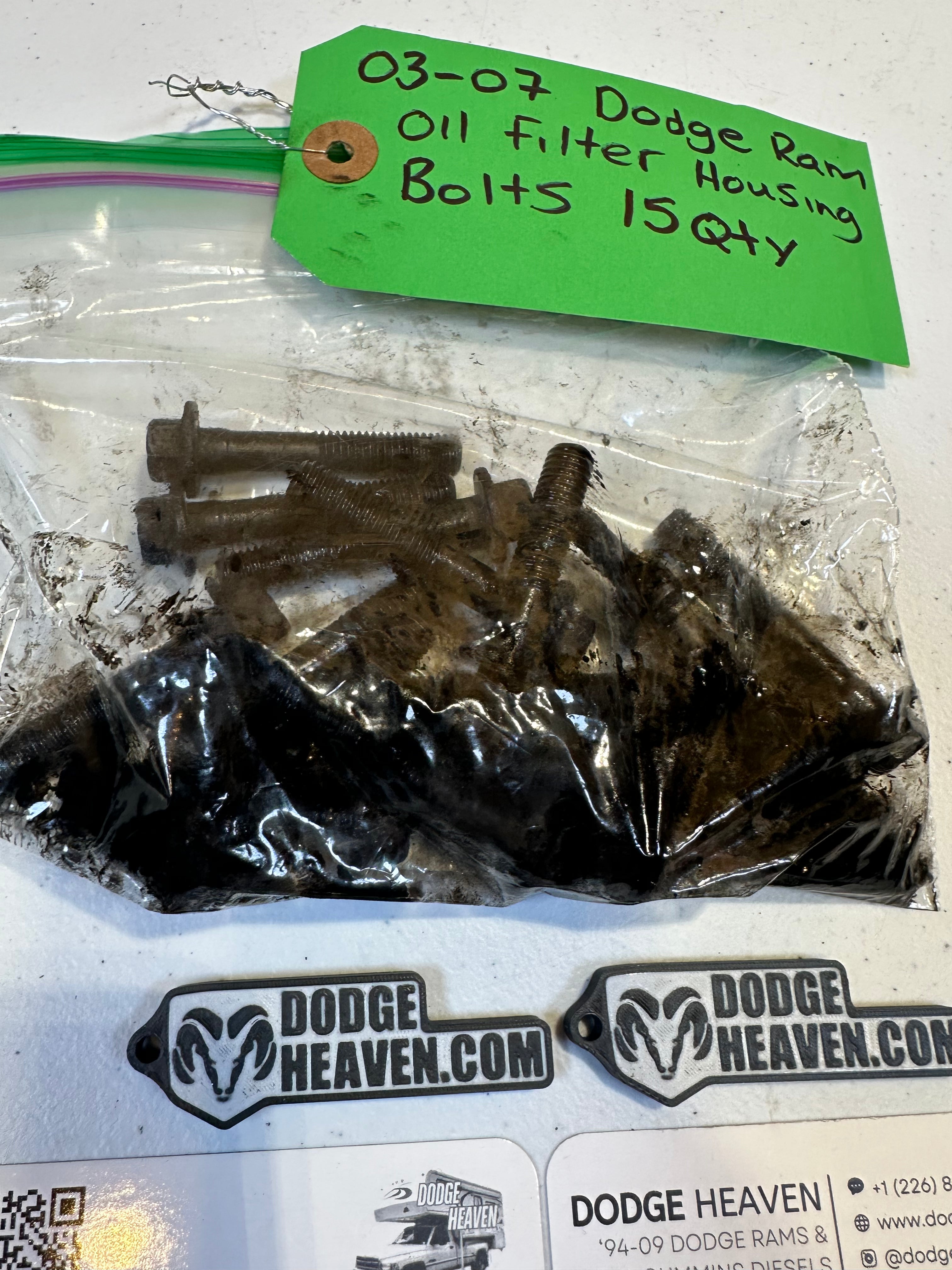 2003-2007 Dodge Ram 5.9L CR Cummins Oil Filter Housing Bolts qty 15 (OEM)