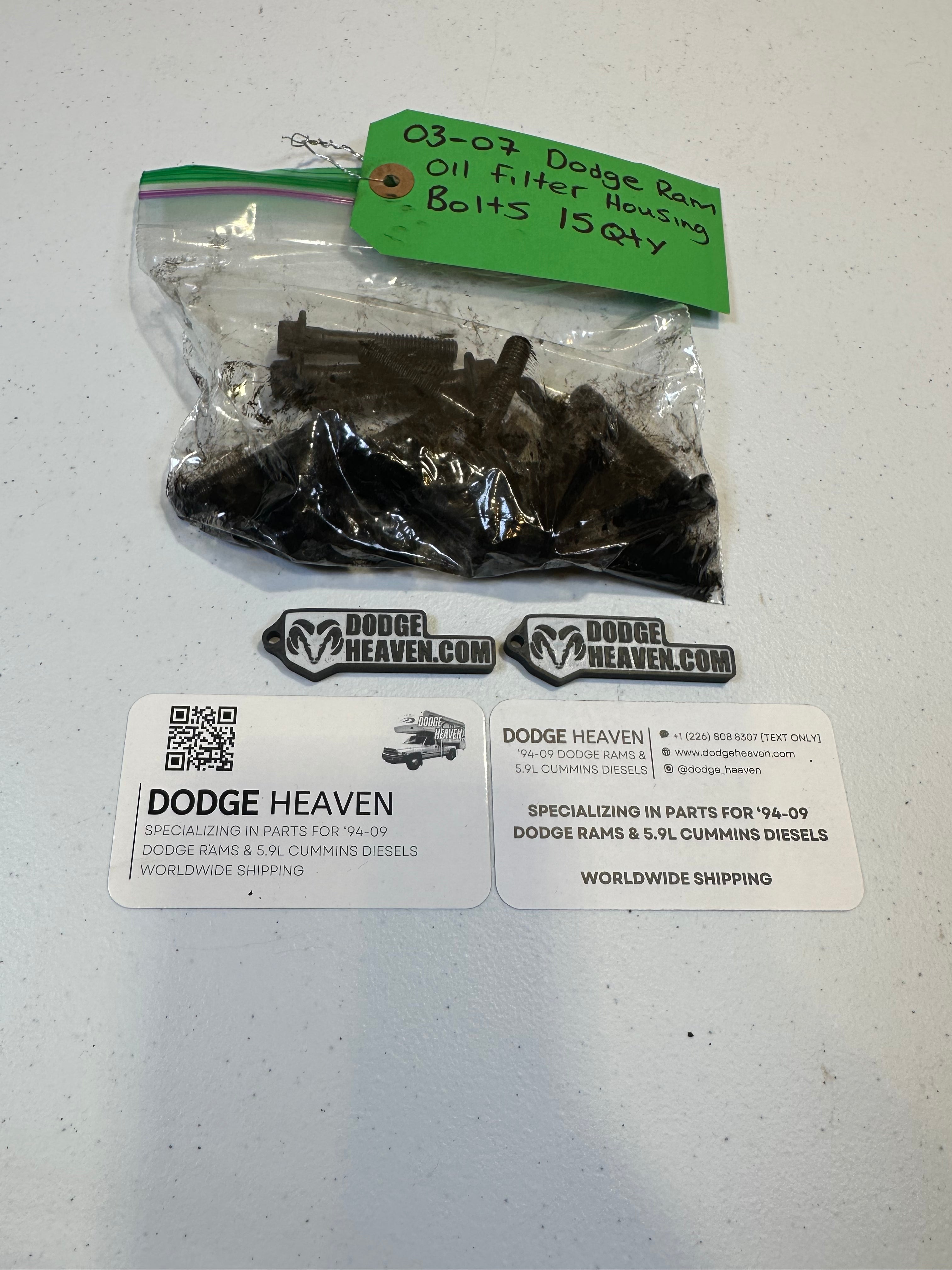 2003-2007 Dodge Ram 5.9L CR Cummins Oil Filter Housing Bolts qty 15 (OEM)