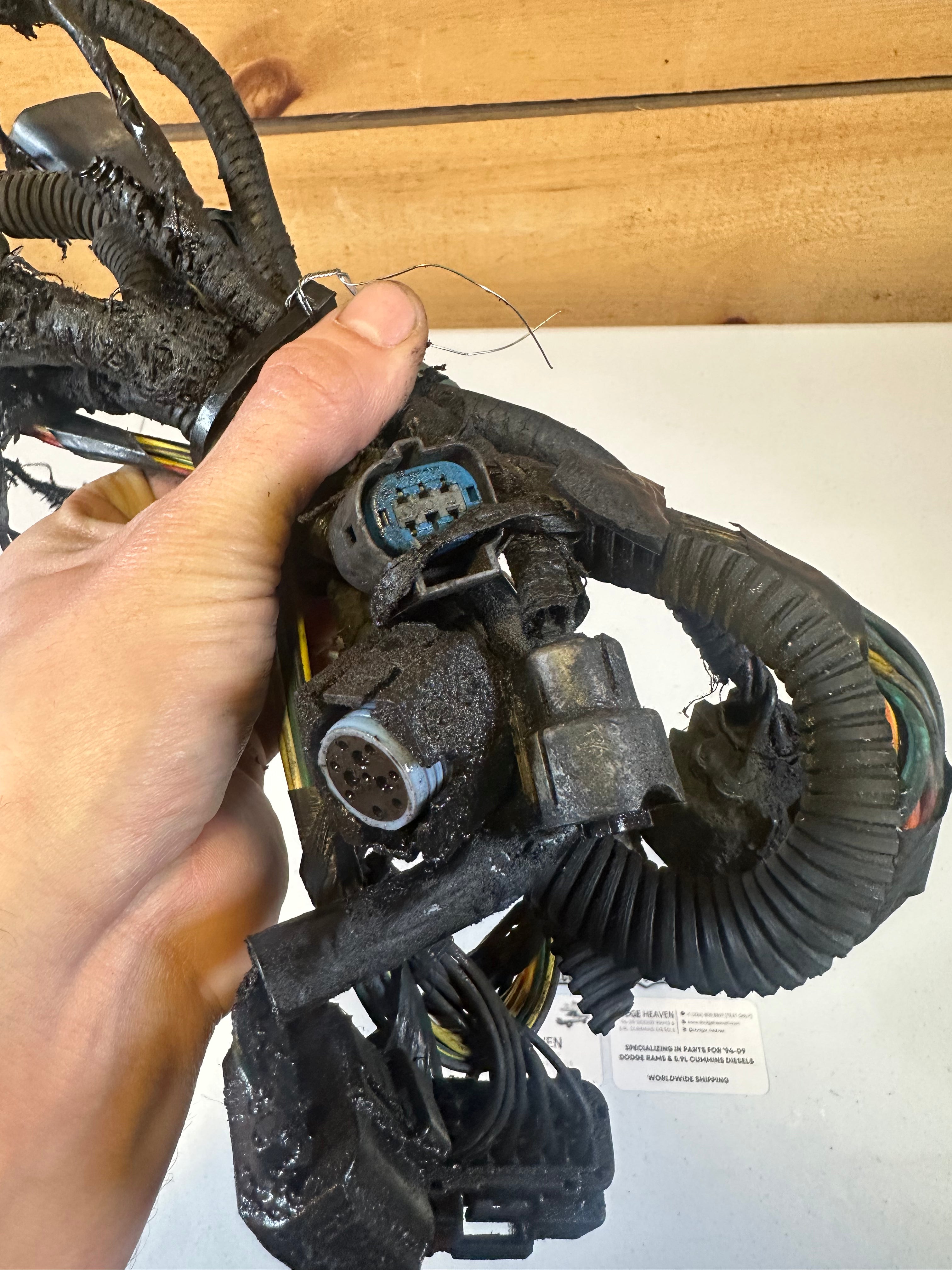 2006-2006 Dodge Ram 2500 3500 5.9L Cummins Auto 48re Transmission Harness (OEM)