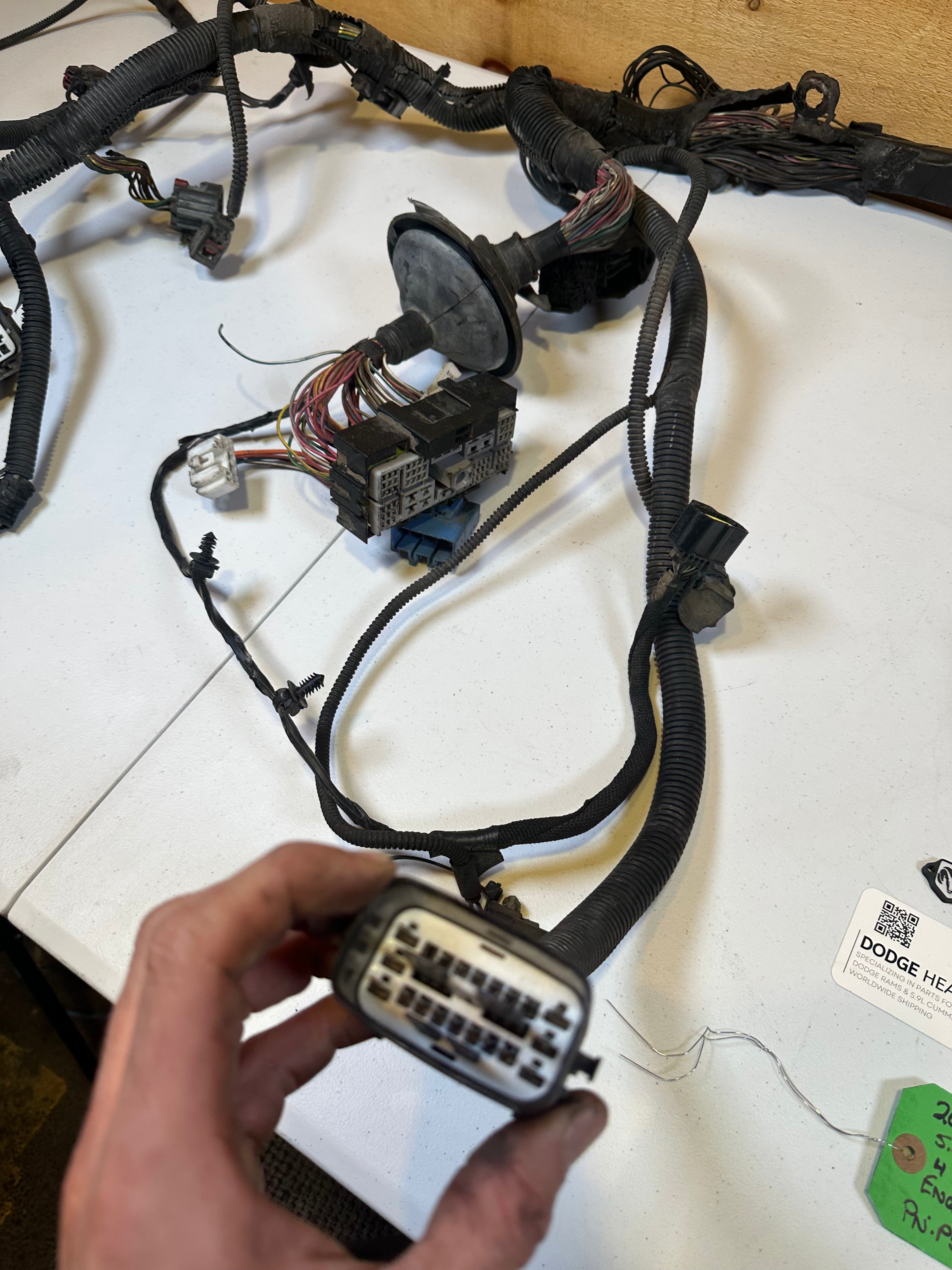 2006-2006 Dodge Ram 5.9L Cummins Engine Bay Harness Head Lights to Dash (OEM)