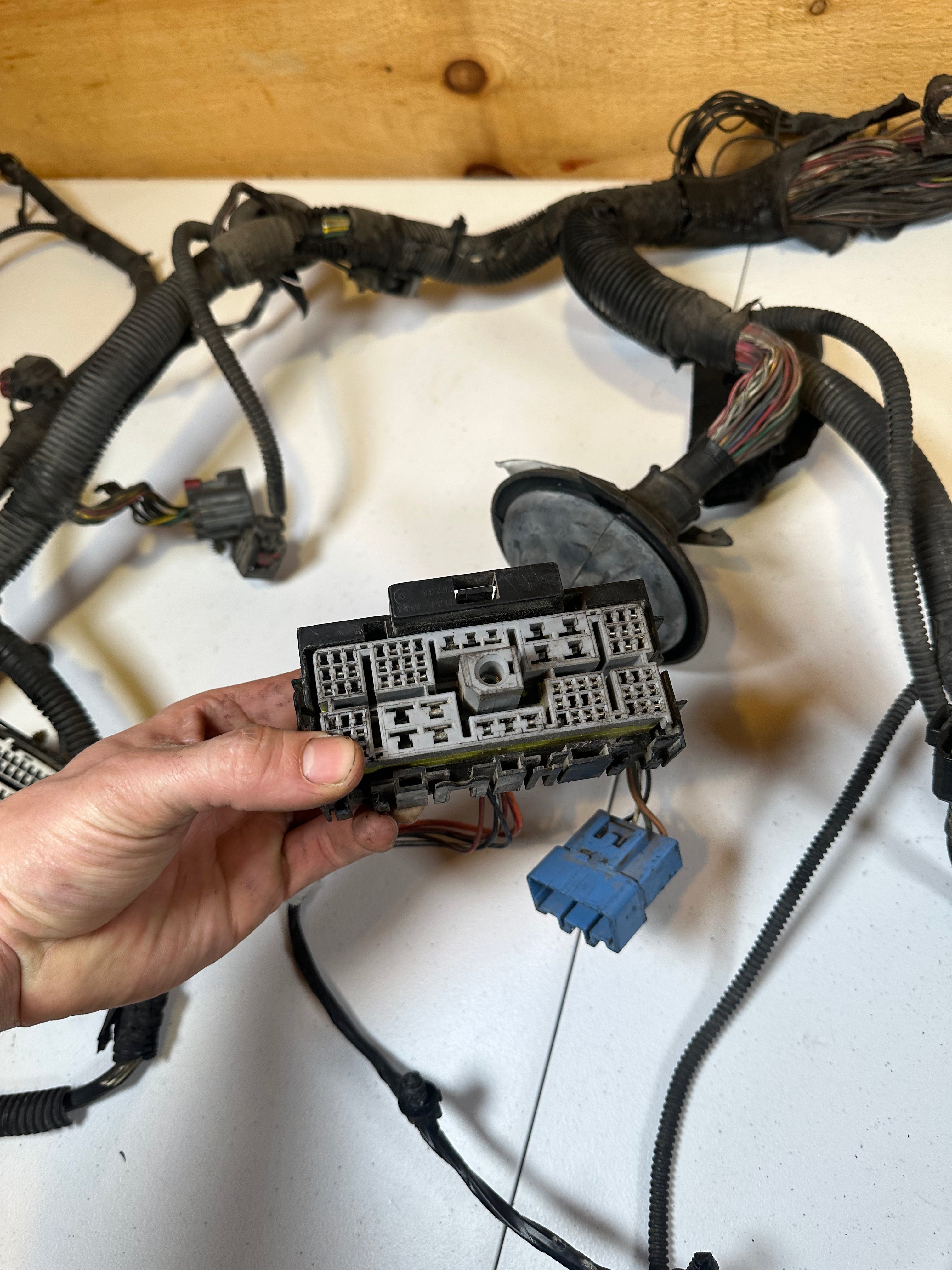 2006-2006 Dodge Ram 5.9L Cummins Engine Bay Harness Head Lights to Dash (OEM)