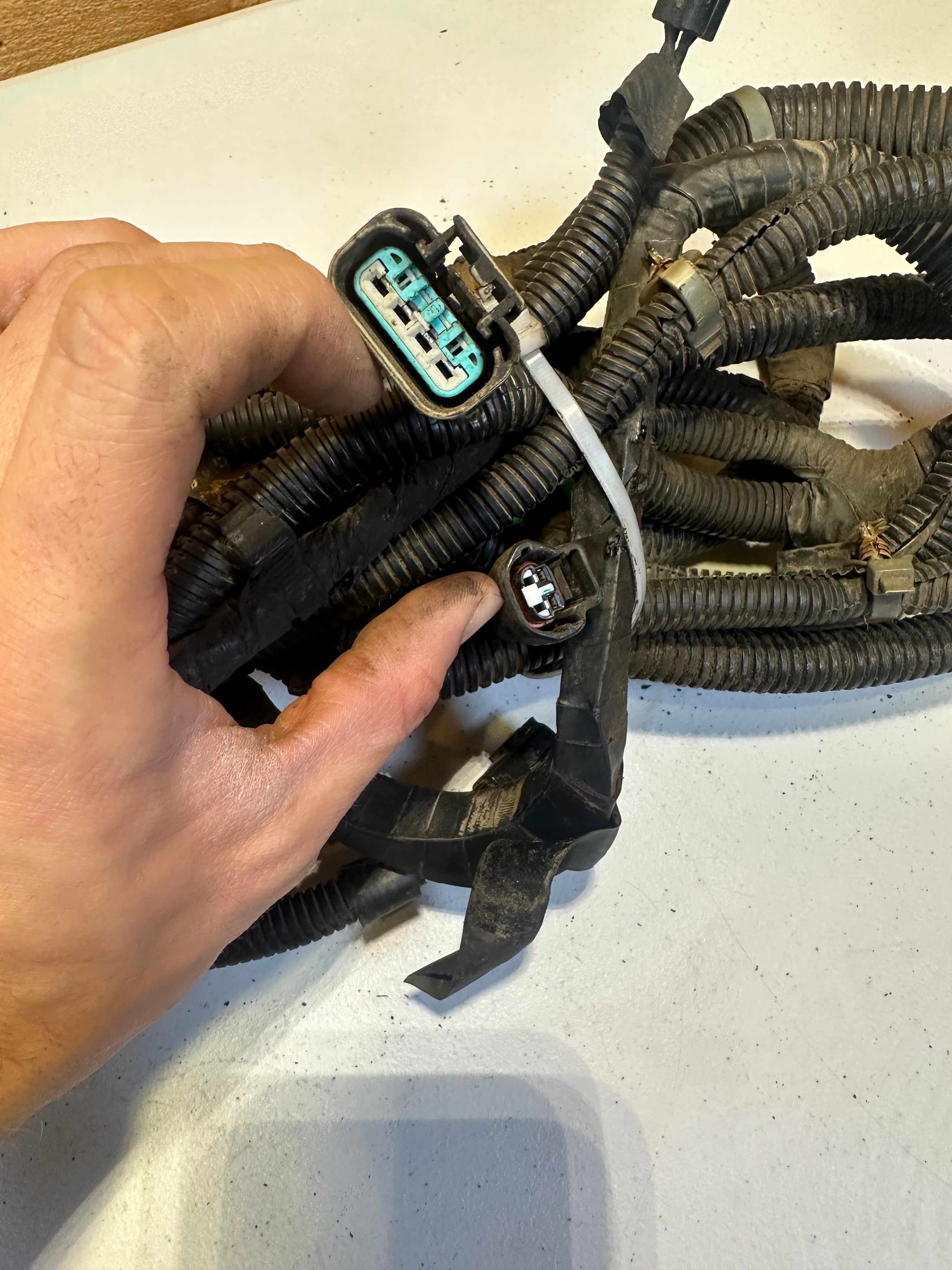 1999-2002 Dodge Ram 3500 Ext Cab Long Box DRW Rear Frame Harness (OEM)