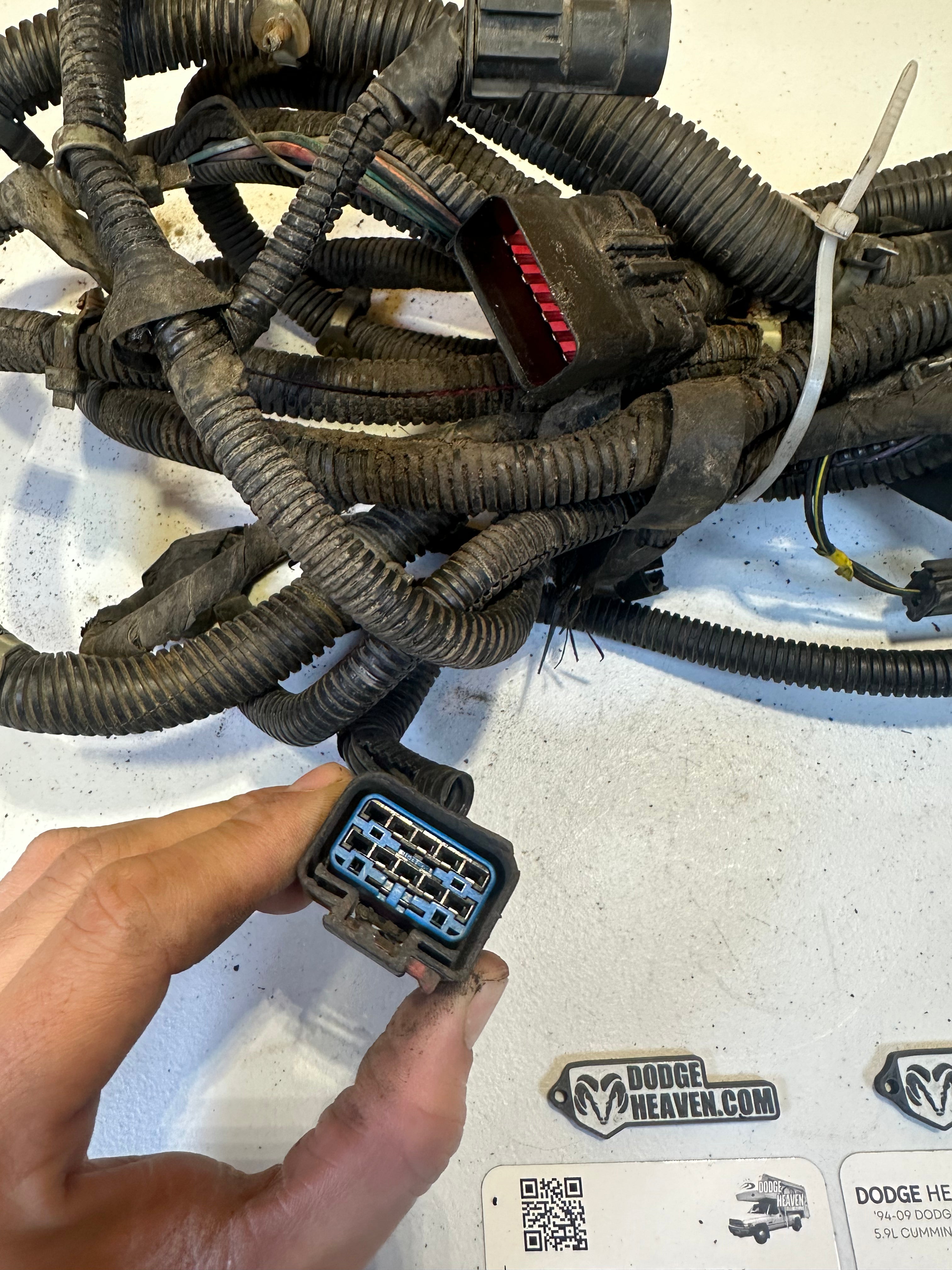 1999-2002 Dodge Ram 3500 Ext Cab Long Box DRW Rear Frame Harness (OEM)