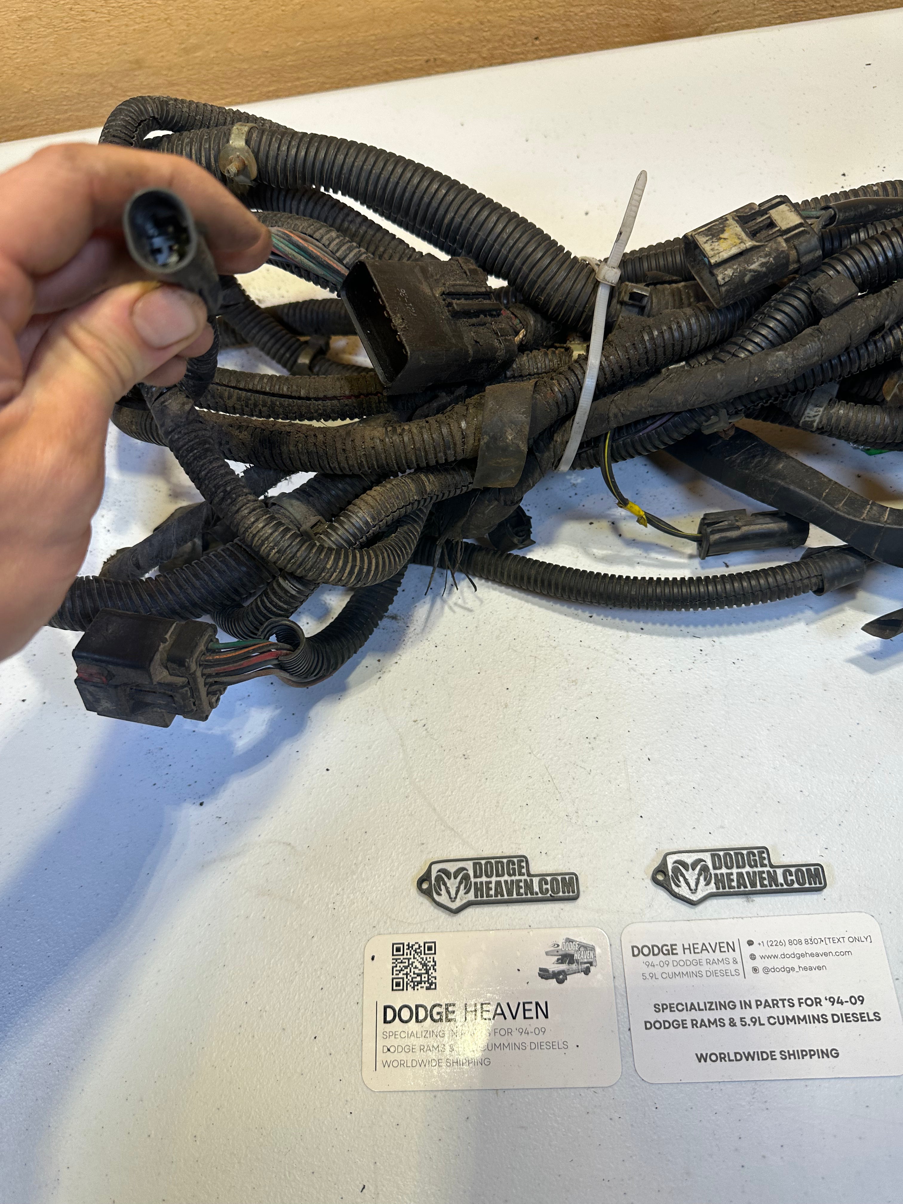 1999-2002 Dodge Ram 3500 Ext Cab Long Box DRW Rear Frame Harness (OEM)