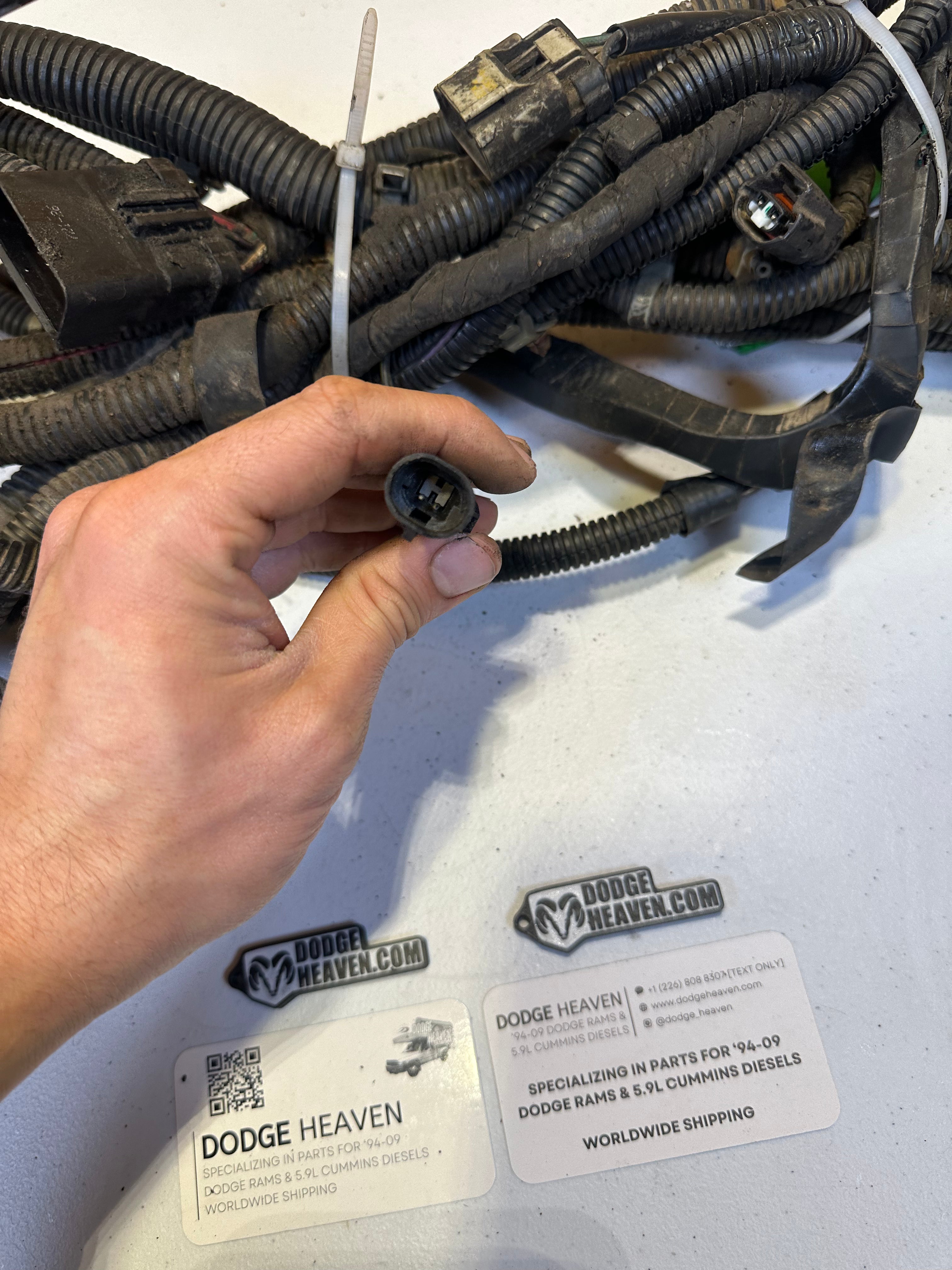 1999-2002 Dodge Ram 3500 Ext Cab Long Box DRW Rear Frame Harness (OEM)