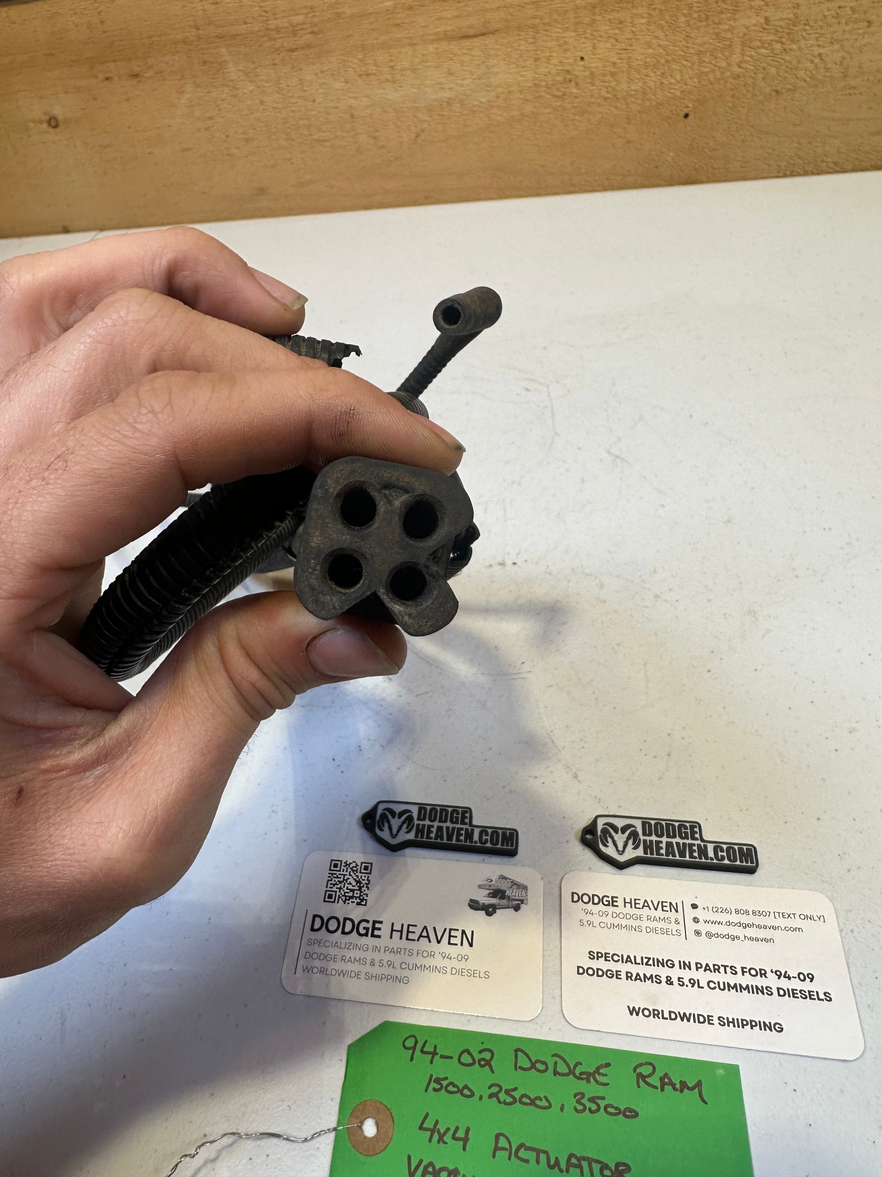 1994-2002 Dodge Ram Transfer Case 4x4 Actuator Vacuum Lines (OEM)