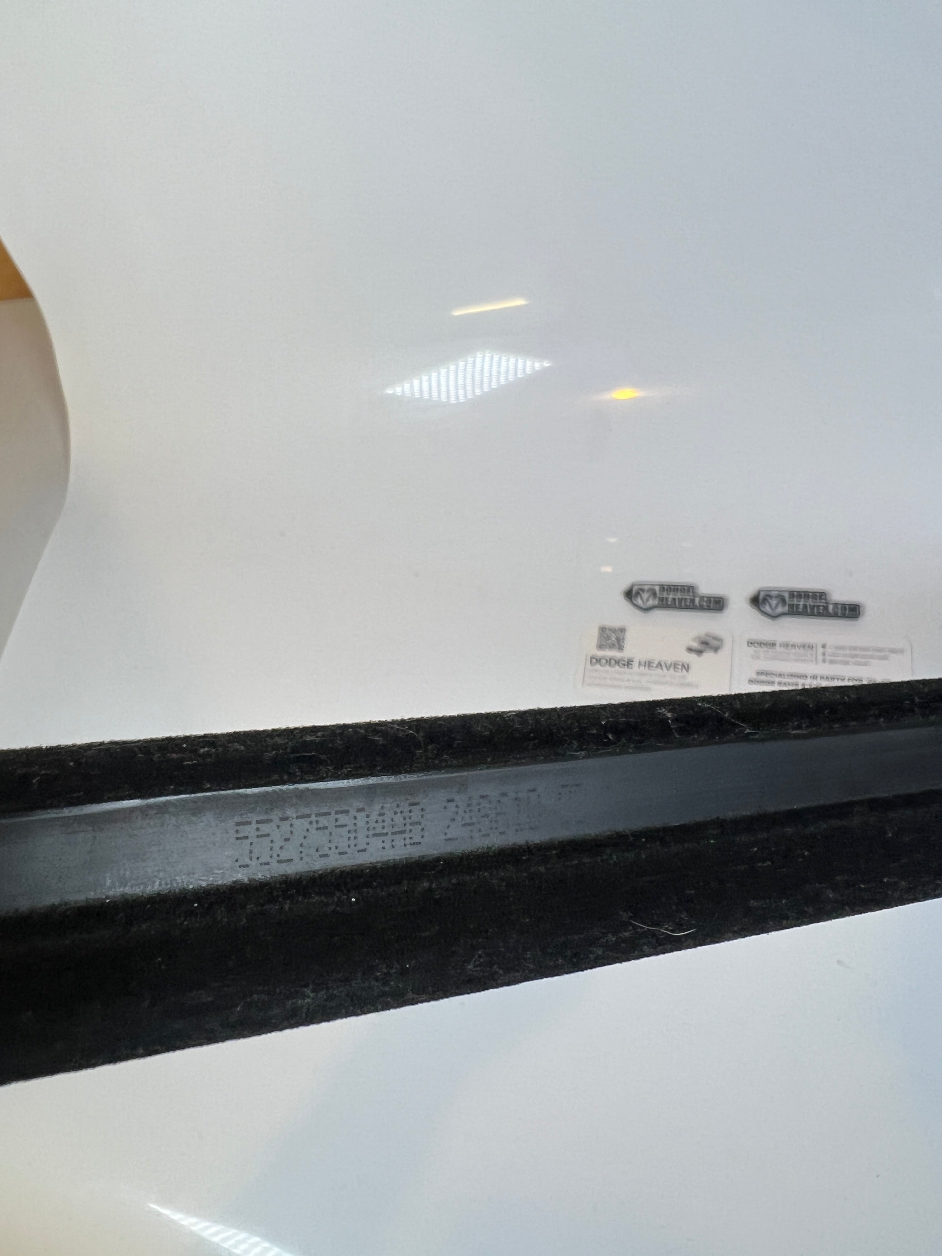 1994-2002 Dodge Ram Passenger / RH Door Belt Weather Strip