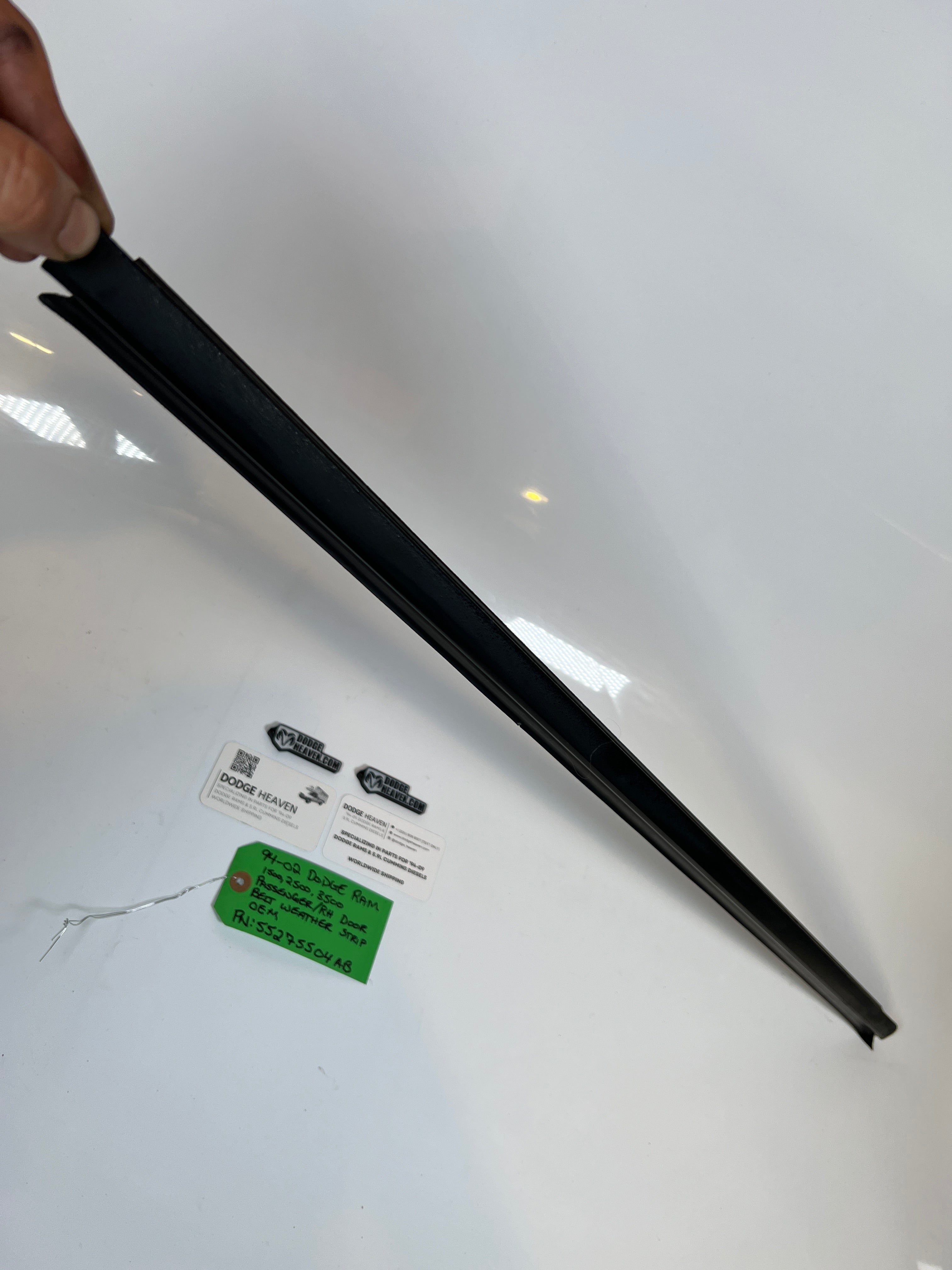 1994-2002 Dodge Ram Passenger / RH Door Belt Weather Strip