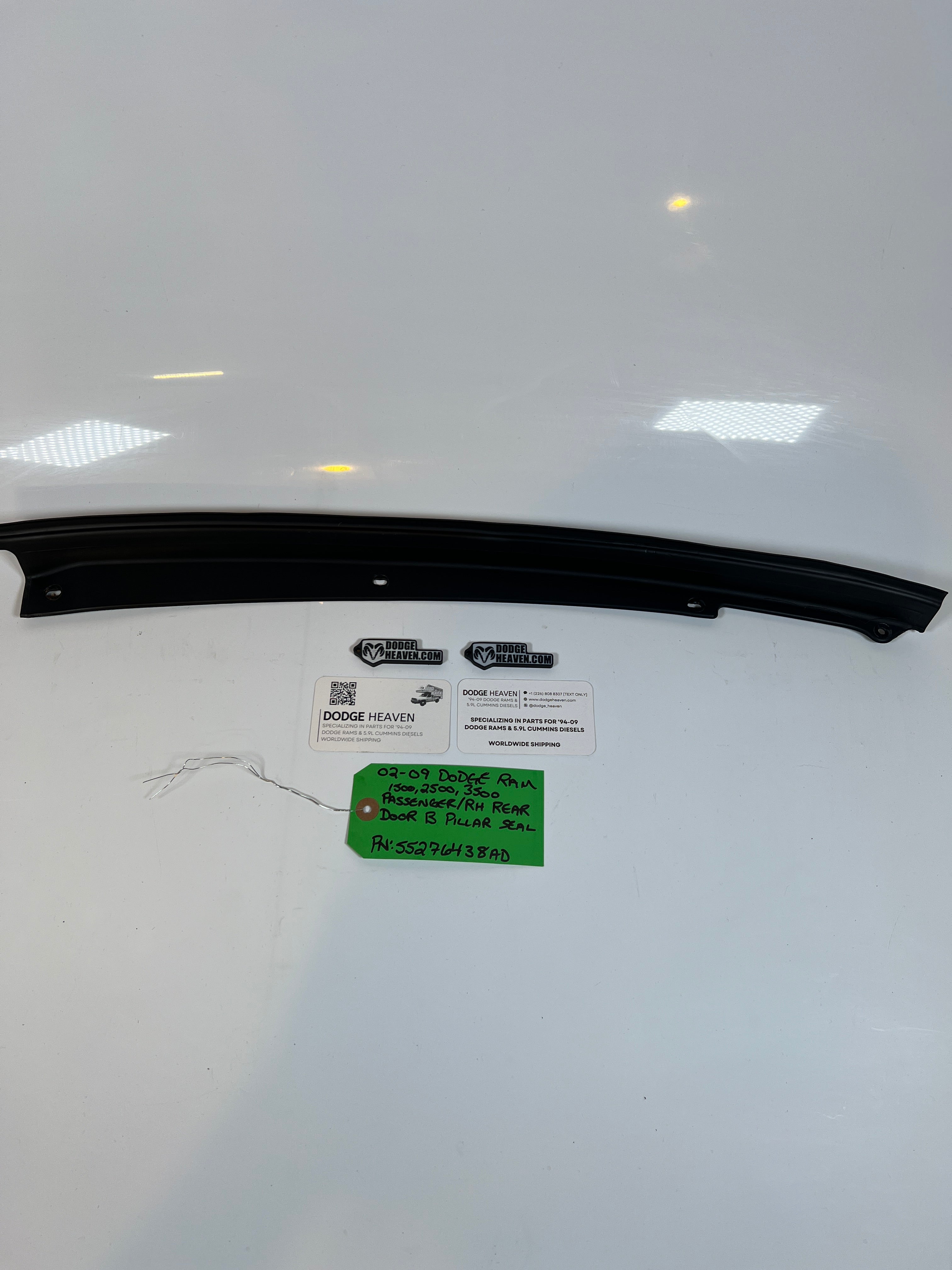 2002-2009 Dodge Ram Passenger RH Rear Door B Pillar Seal 1500-3500