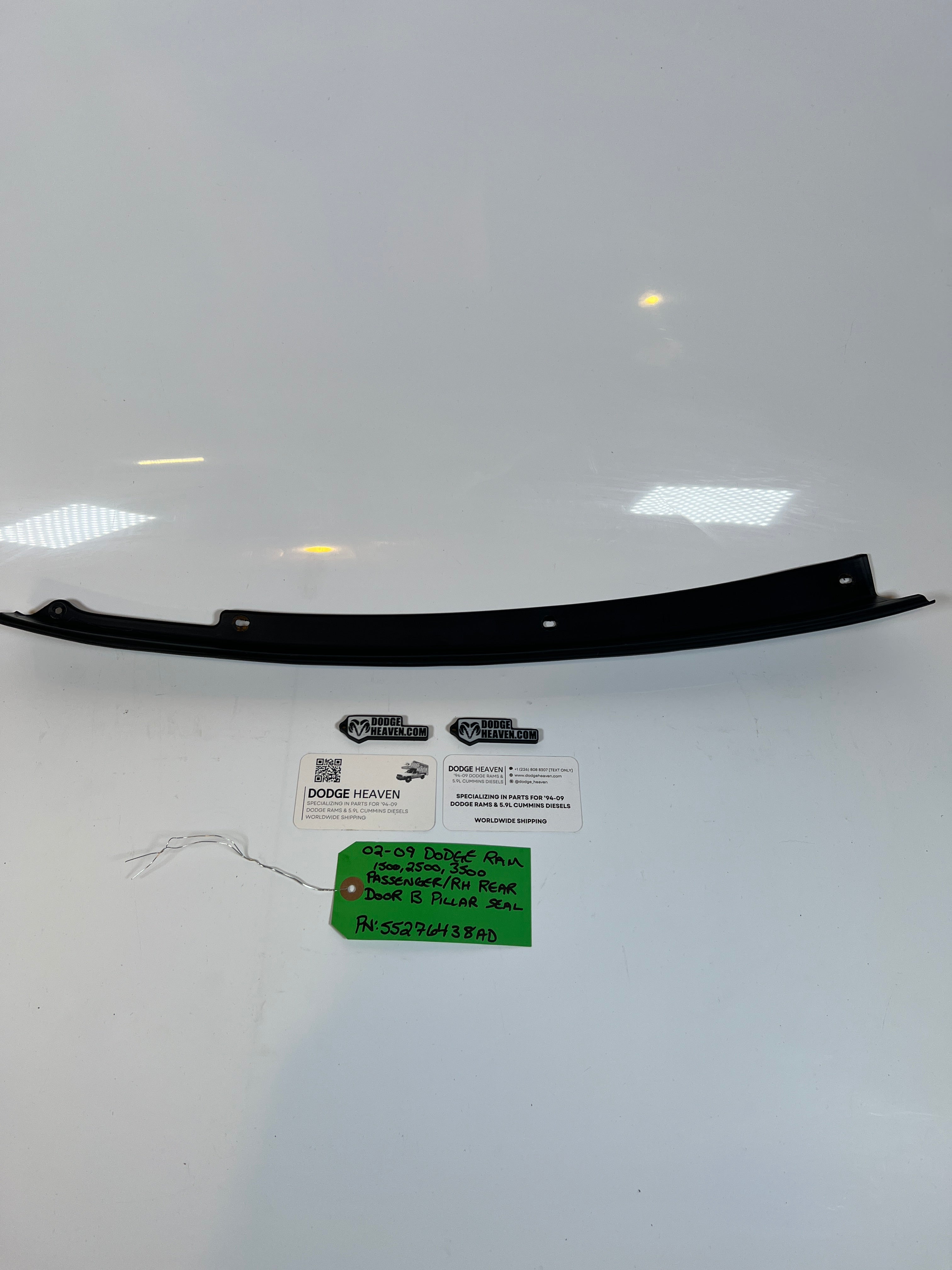 2002-2009 Dodge Ram Passenger RH Rear Door B Pillar Seal 1500-3500