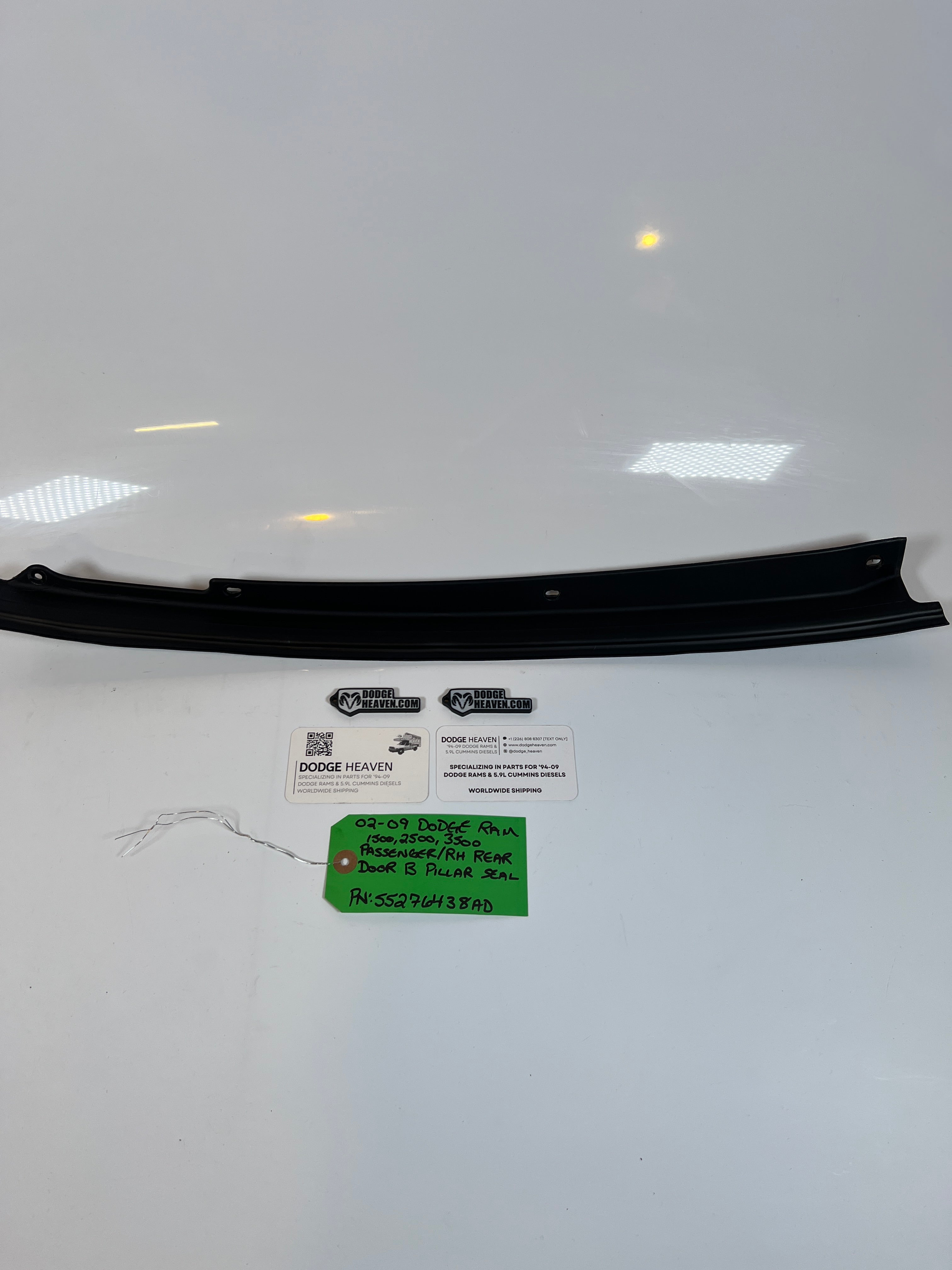 2002-2009 Dodge Ram Passenger RH Rear Door B Pillar Seal 1500-3500