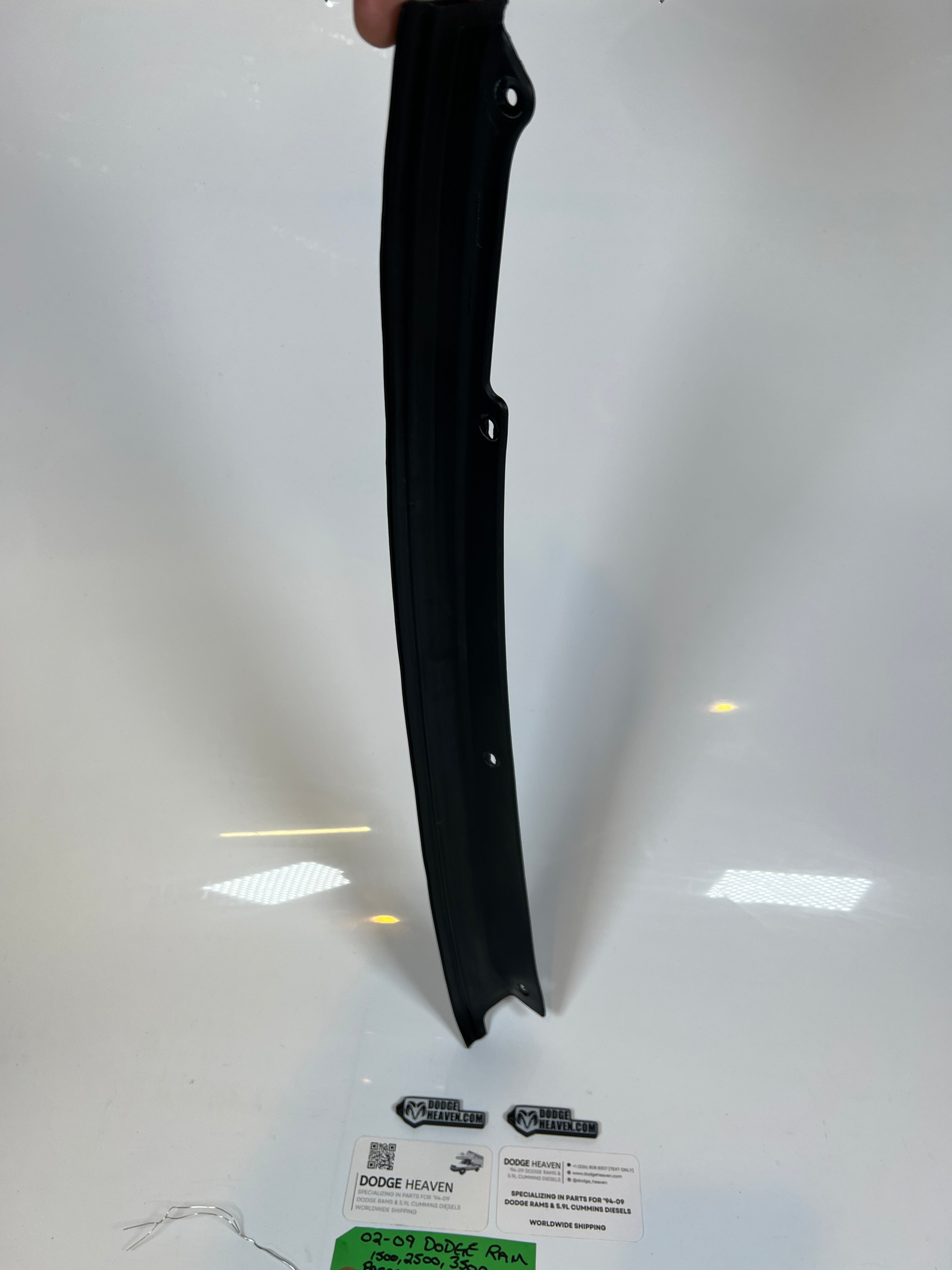 2002-2009 Dodge Ram Passenger RH Rear Door B Pillar Seal 1500-3500