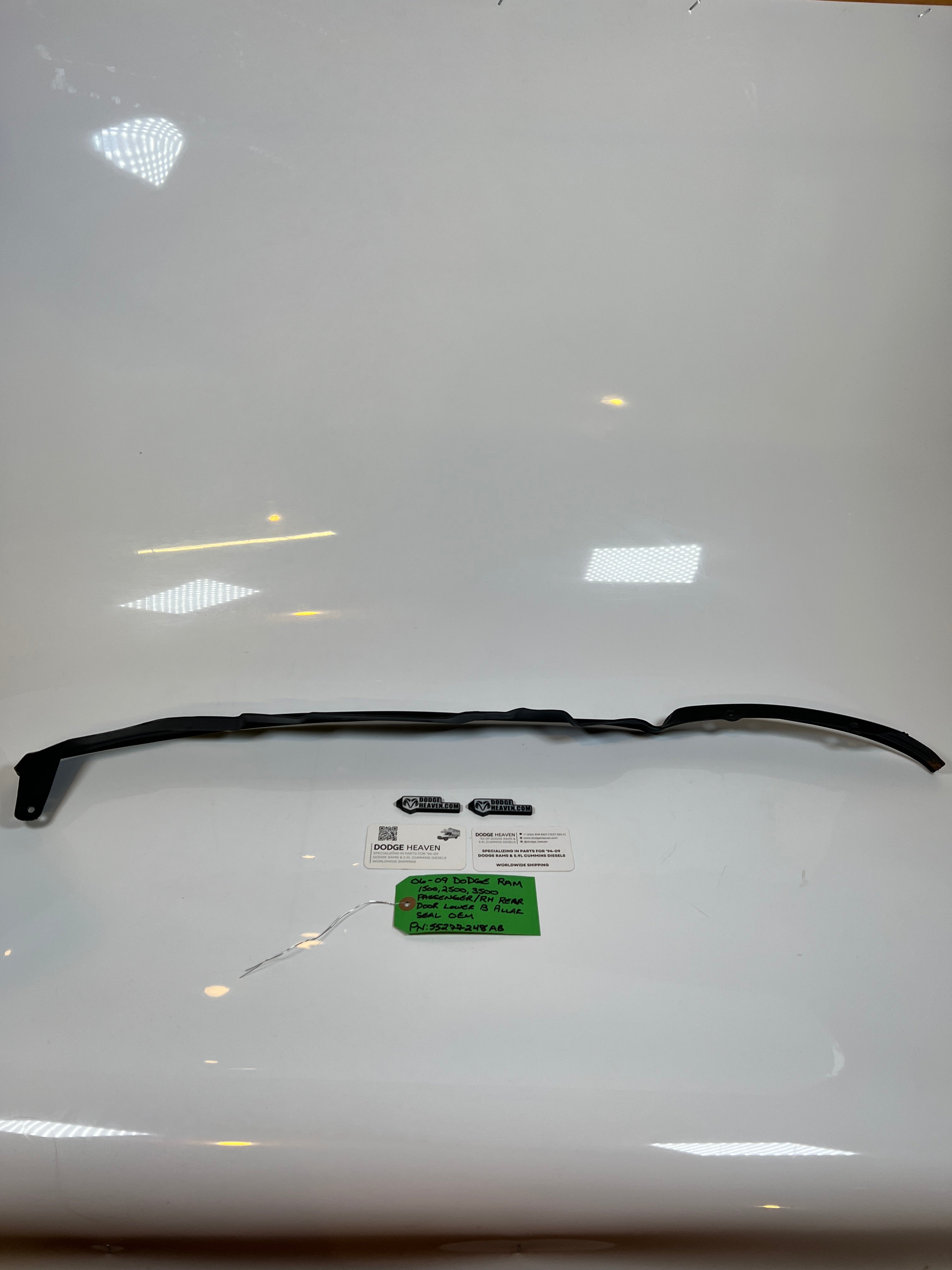 2006-2009 Dodge Ram Passenger Rear Door Lower B Pillar Seal
