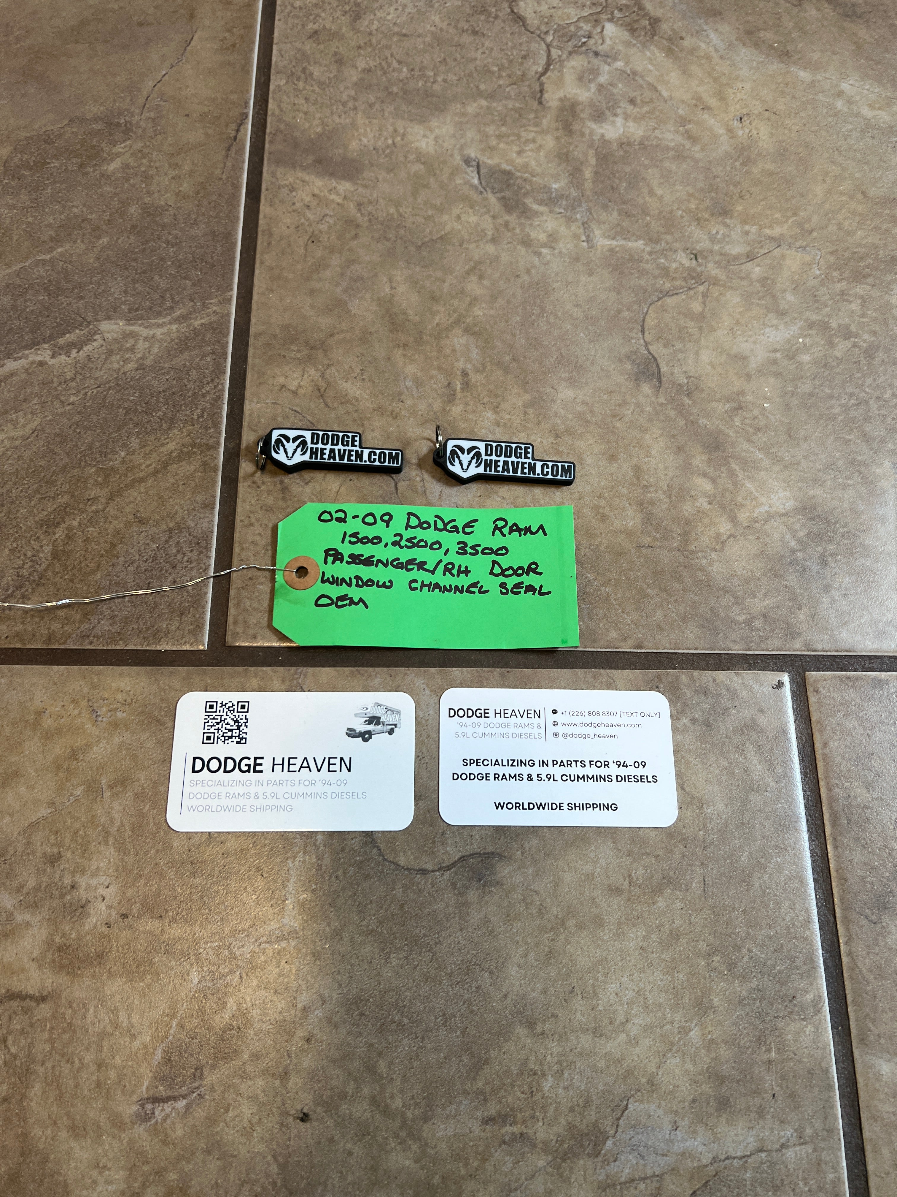 2002-2009 Dodge Ram Passenger Front Door Window Channel Seal