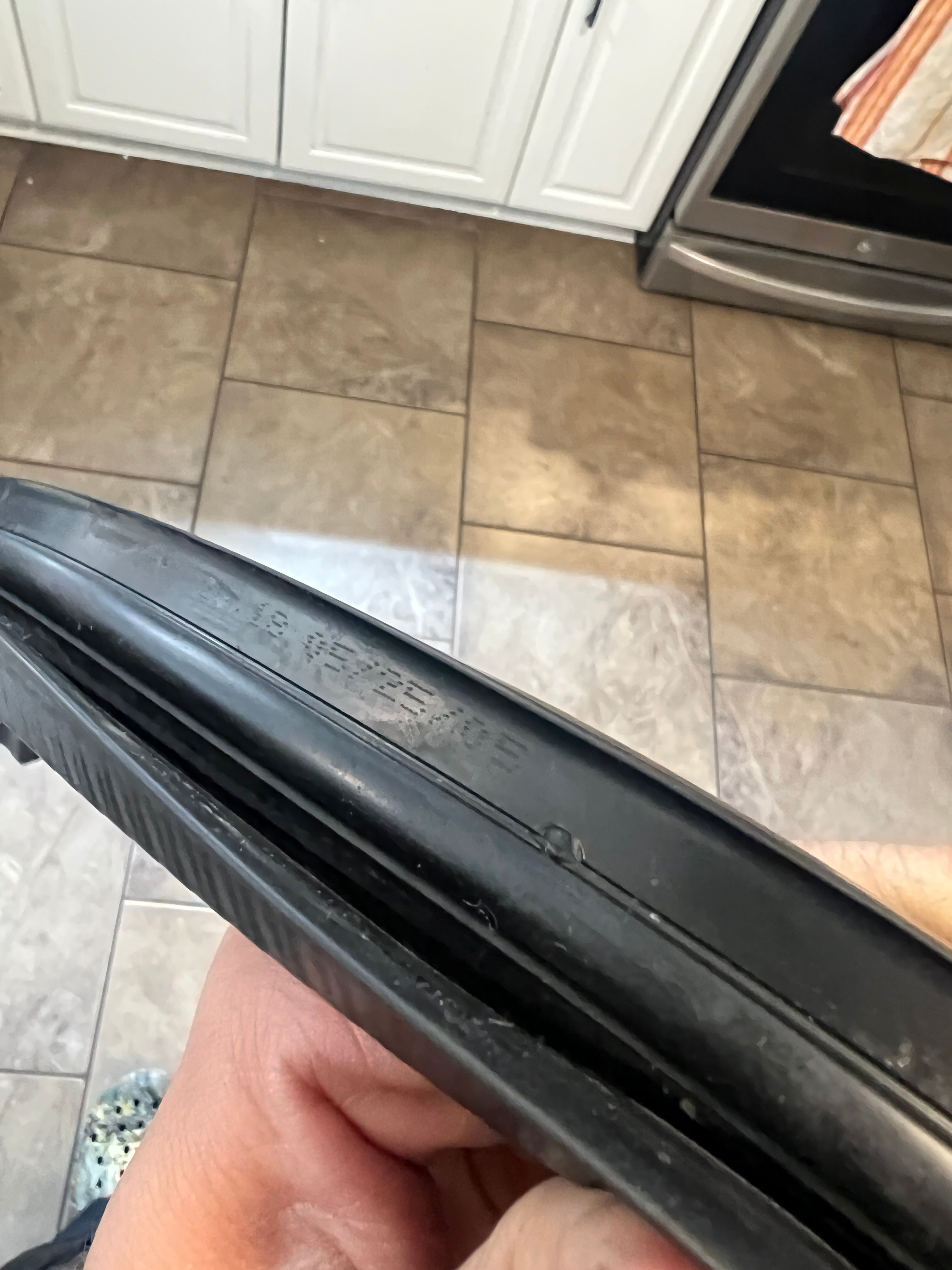 2002-2009 Dodge Ram Passenger Front Door Window Channel Seal