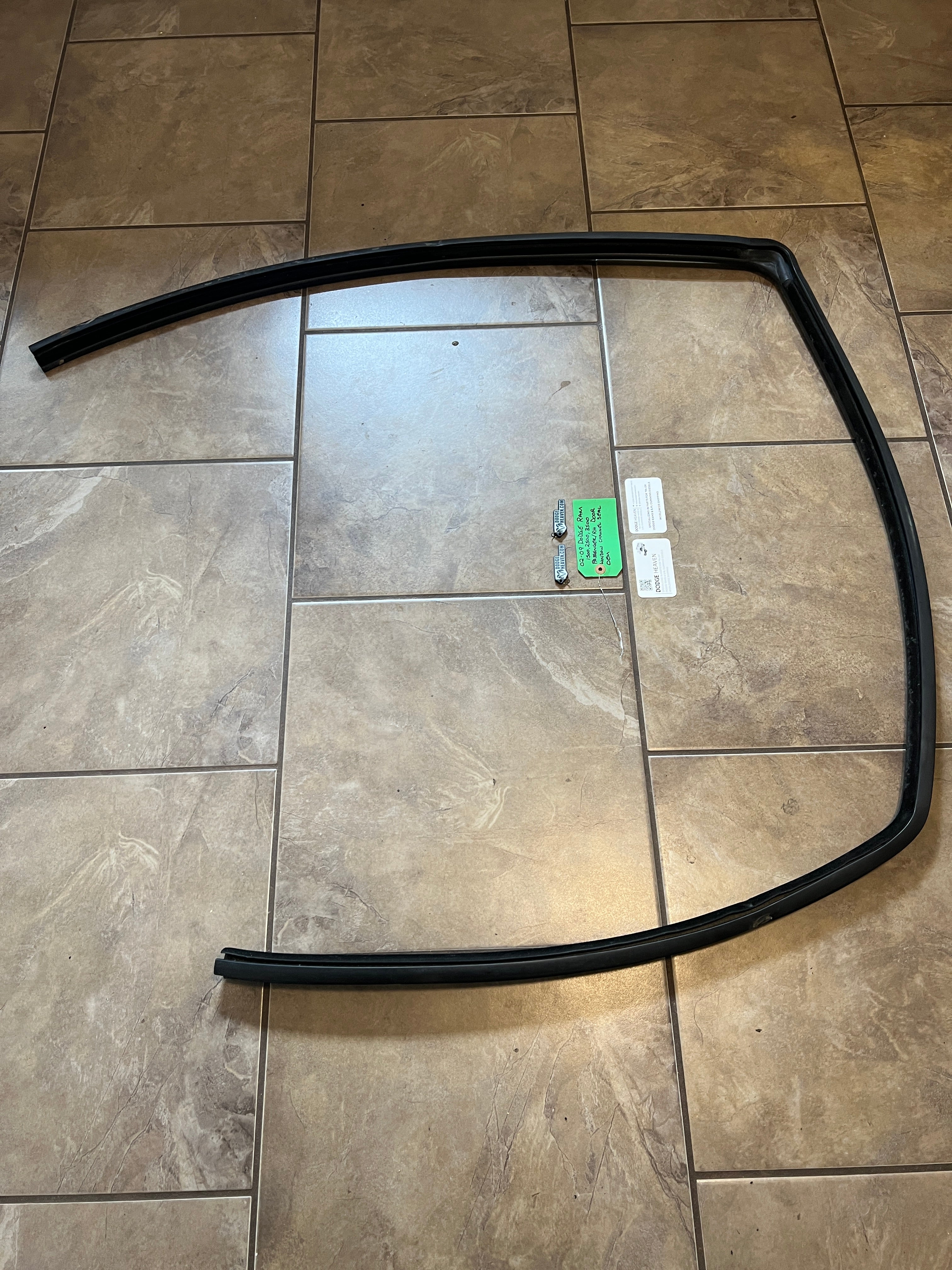 2002-2009 Dodge Ram Passenger Front Door Window Channel Seal