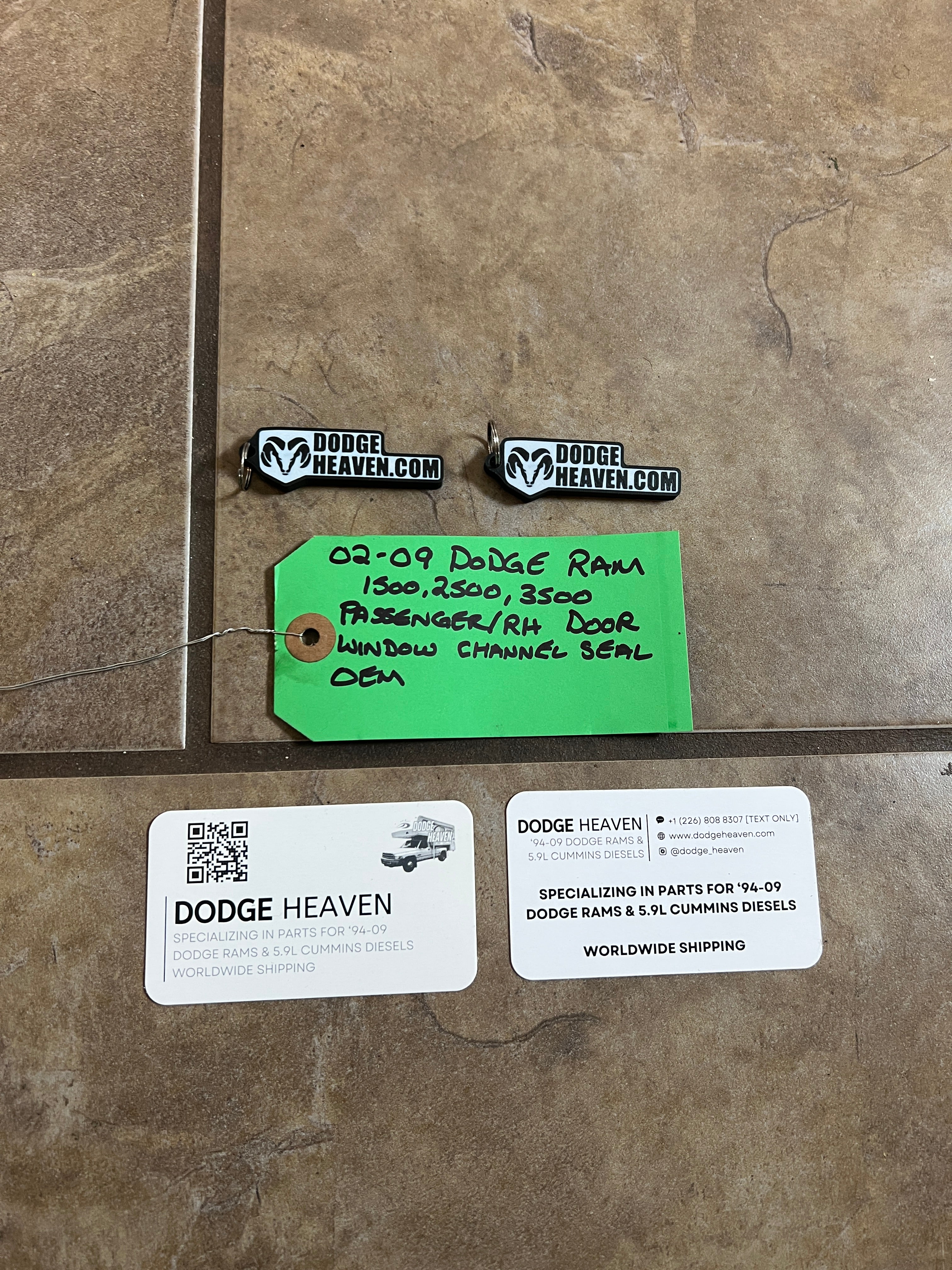 2002-2009 Dodge Ram Passenger Front Door Window Channel Seal