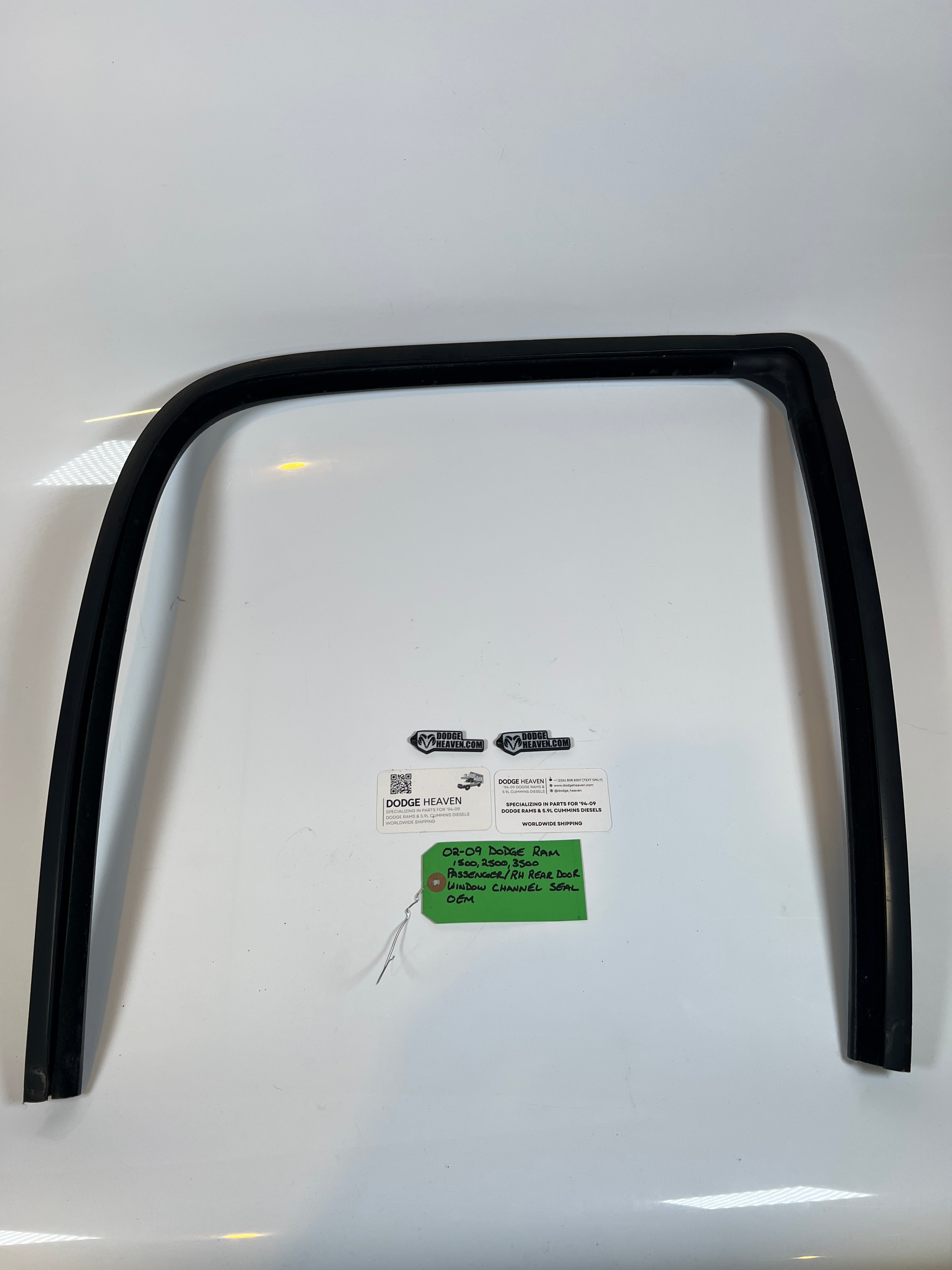 2002-2009 Dodge Ram Passenger Rear Door Window Channel Seal 1500 2500 3500