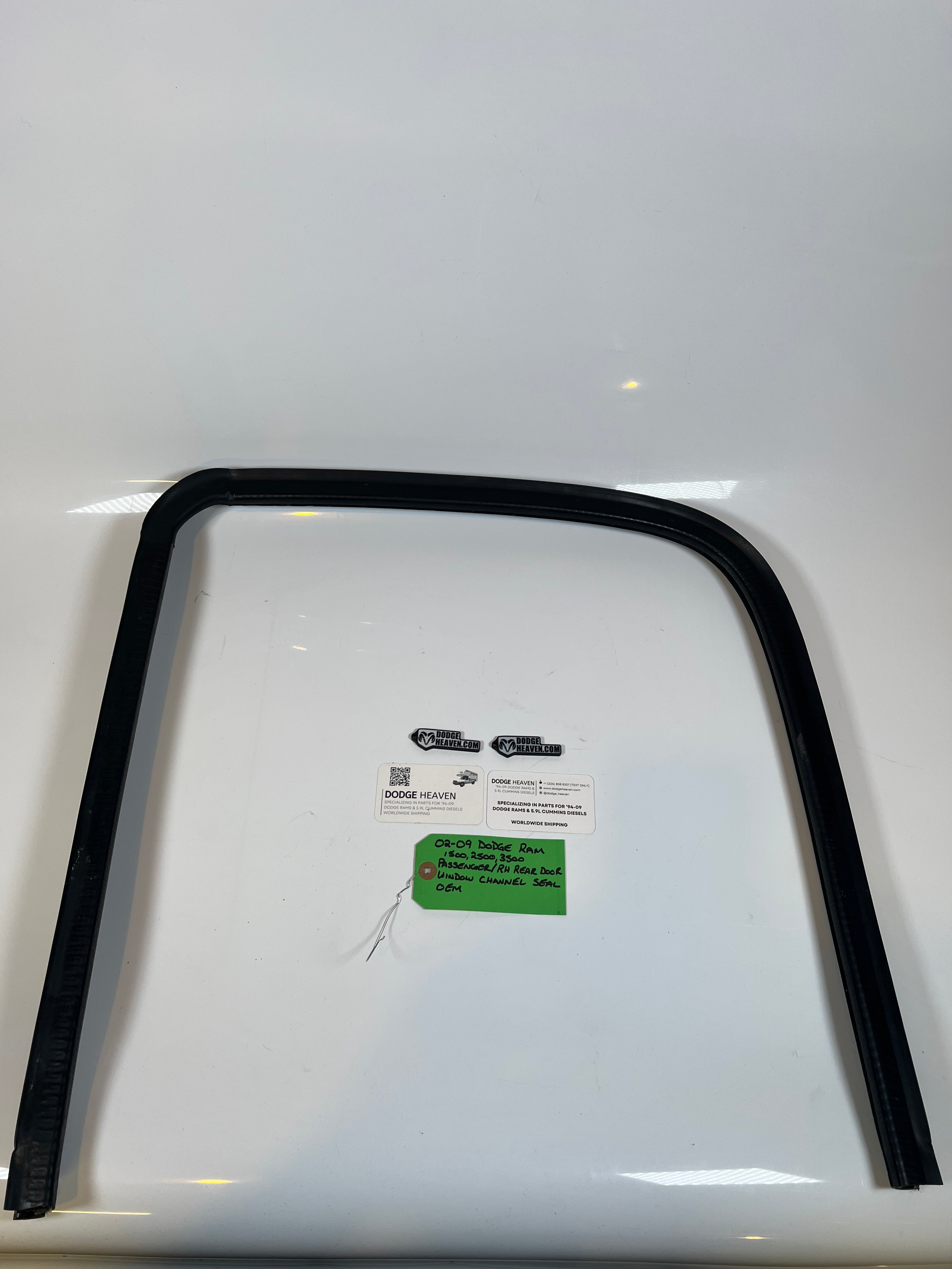 2002-2009 Dodge Ram Passenger Rear Door Window Channel Seal 1500 2500 3500