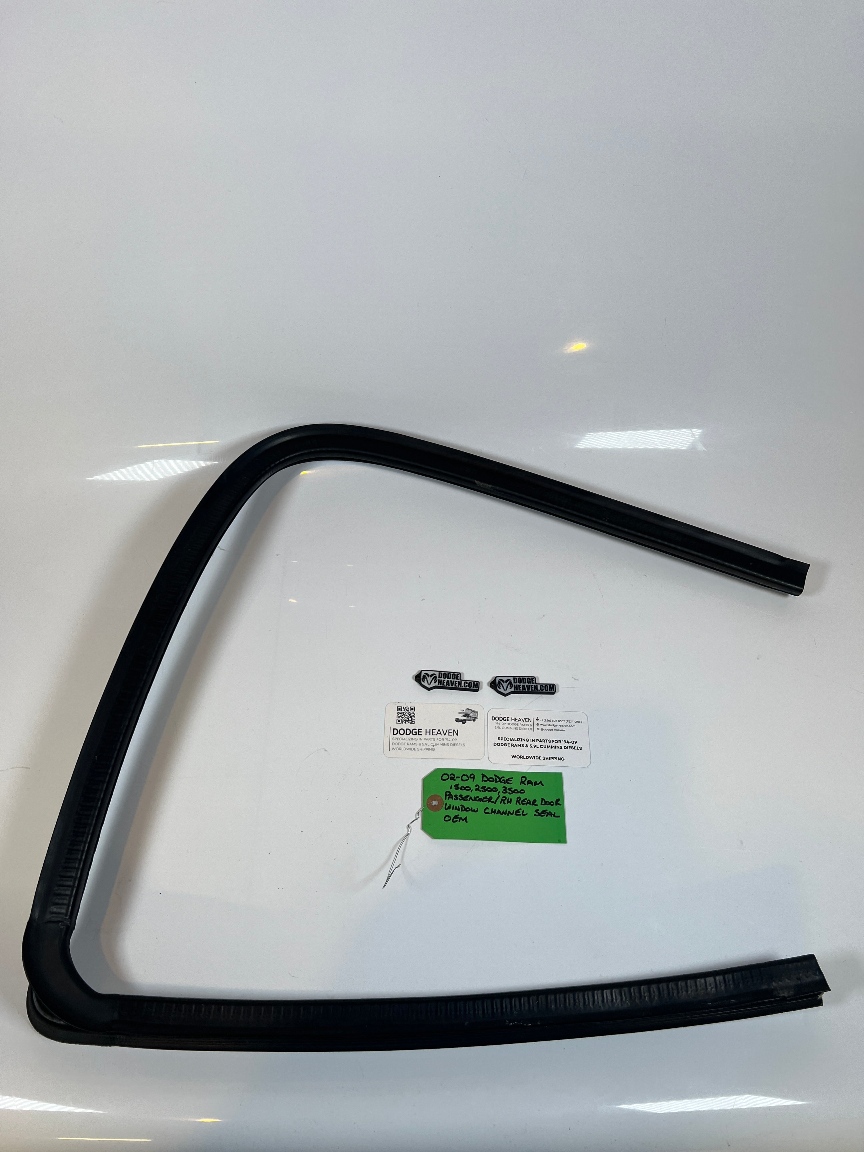 2002-2009 Dodge Ram Passenger Rear Door Window Channel Seal 1500 2500 3500