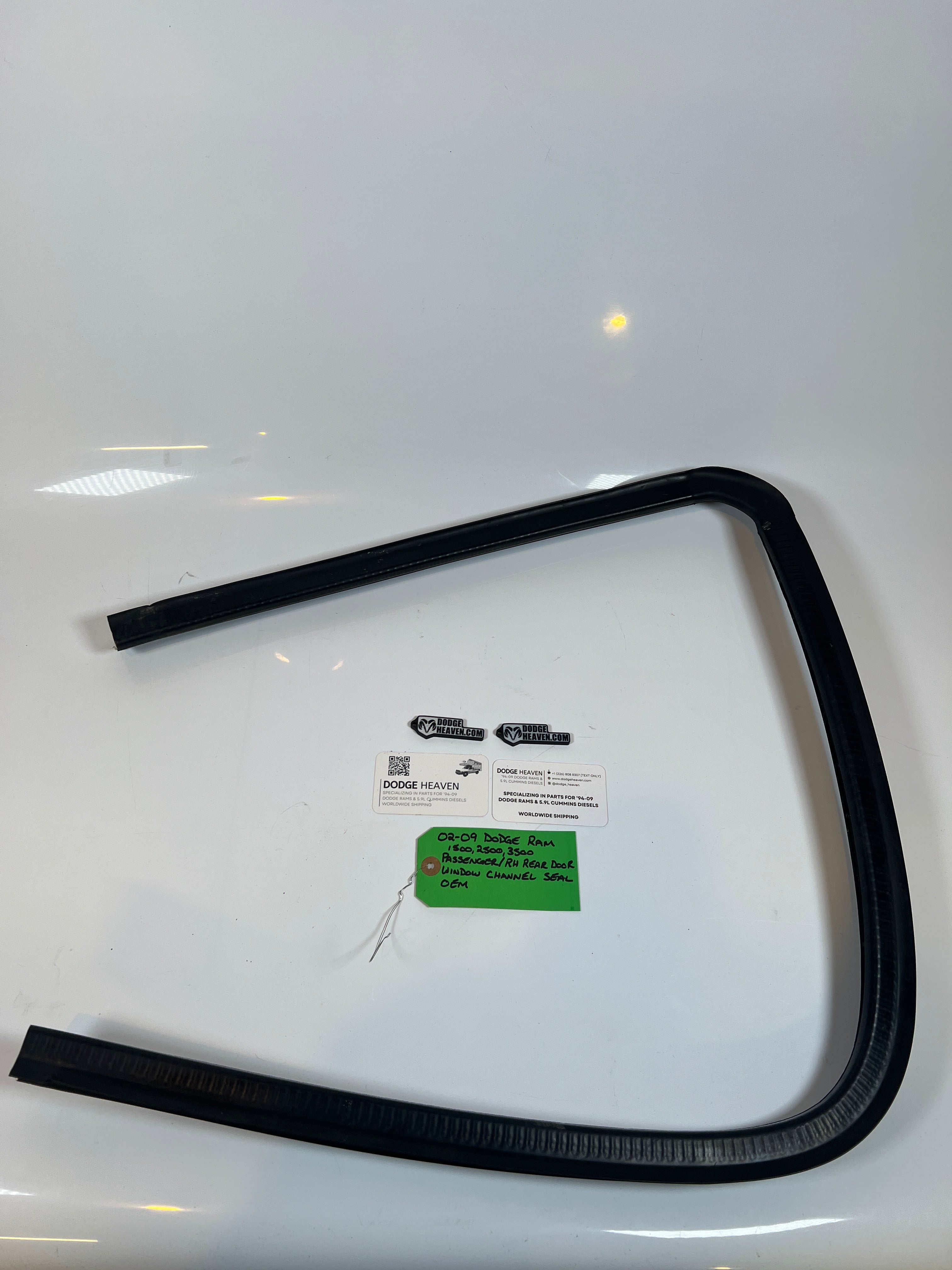 2002-2009 Dodge Ram Passenger Rear Door Window Channel Seal 1500 2500 3500