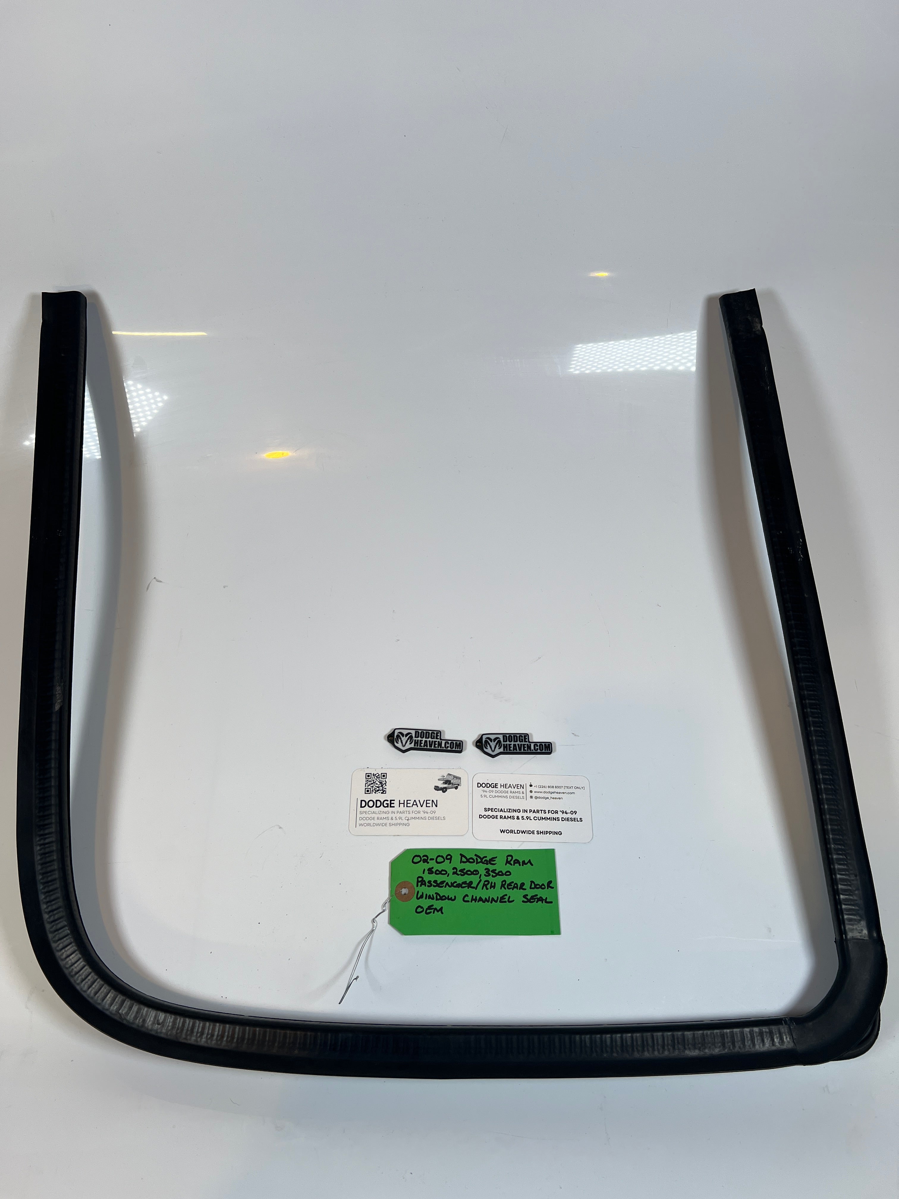 2002-2009 Dodge Ram Passenger Rear Door Window Channel Seal 1500 2500 3500