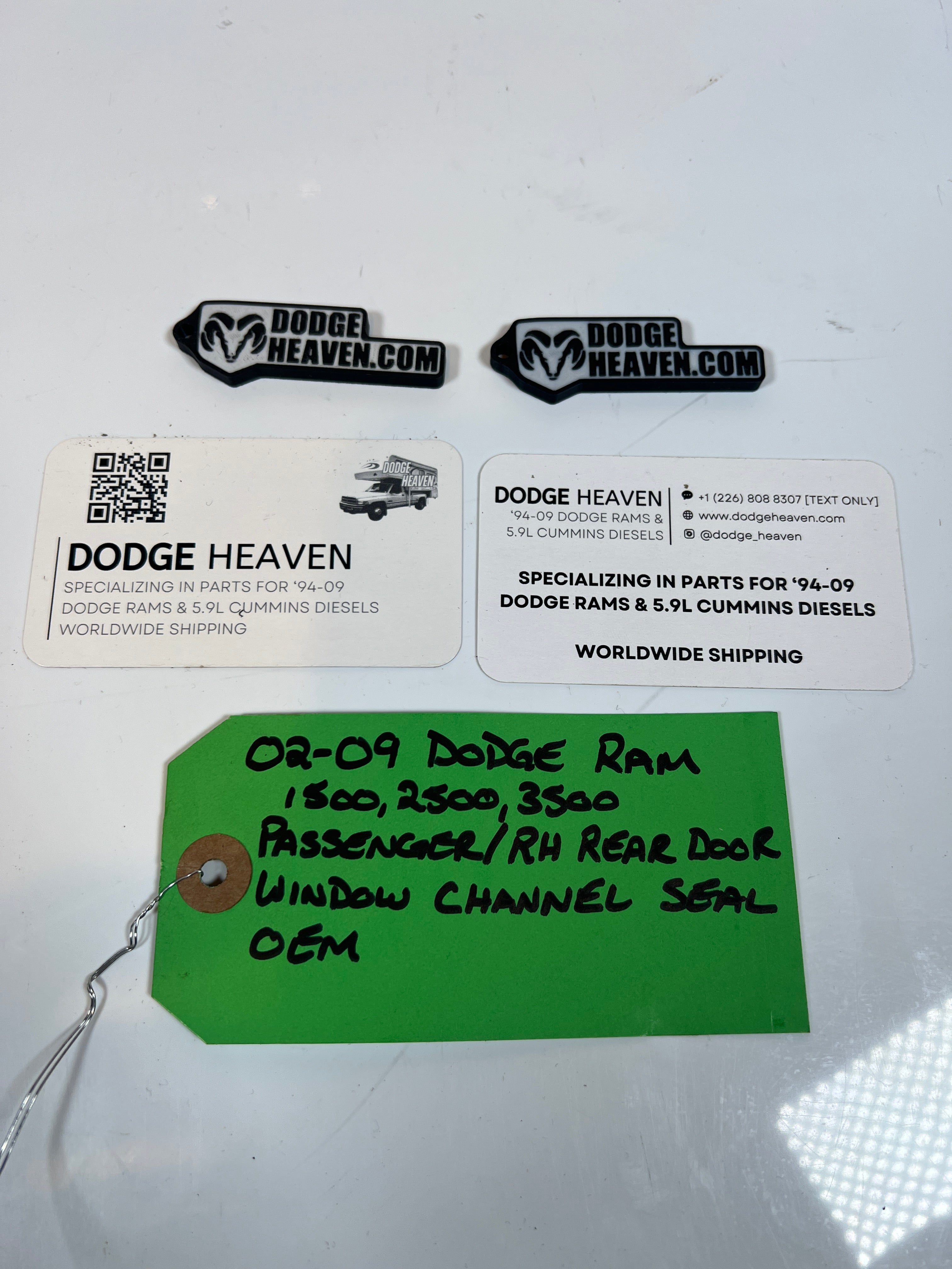 2002-2009 Dodge Ram Passenger Rear Door Window Channel Seal 1500 2500 3500