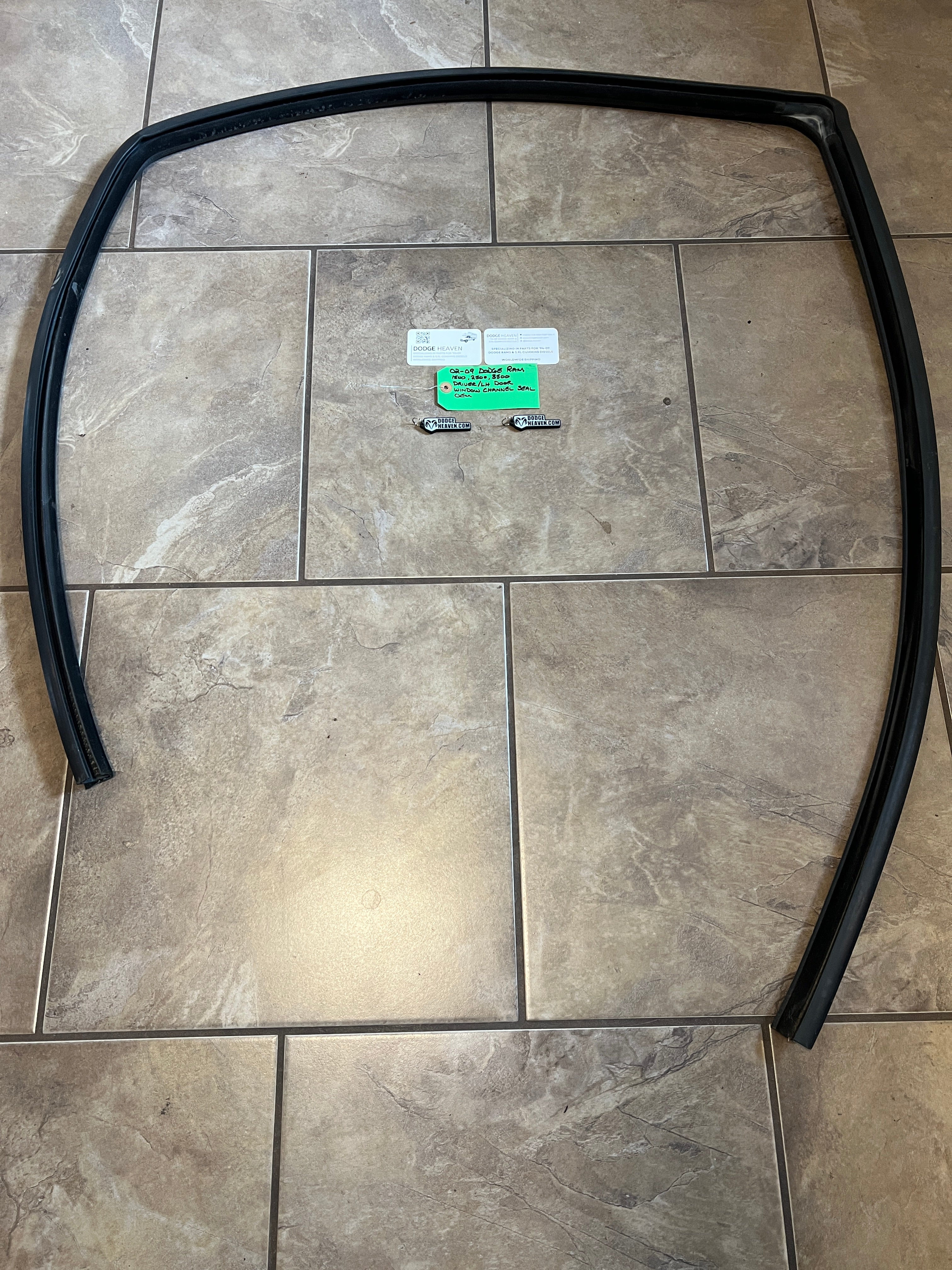 2002-2009 Dodge Ram Driver Front Door Window Channel Seal 1500 2500 3500