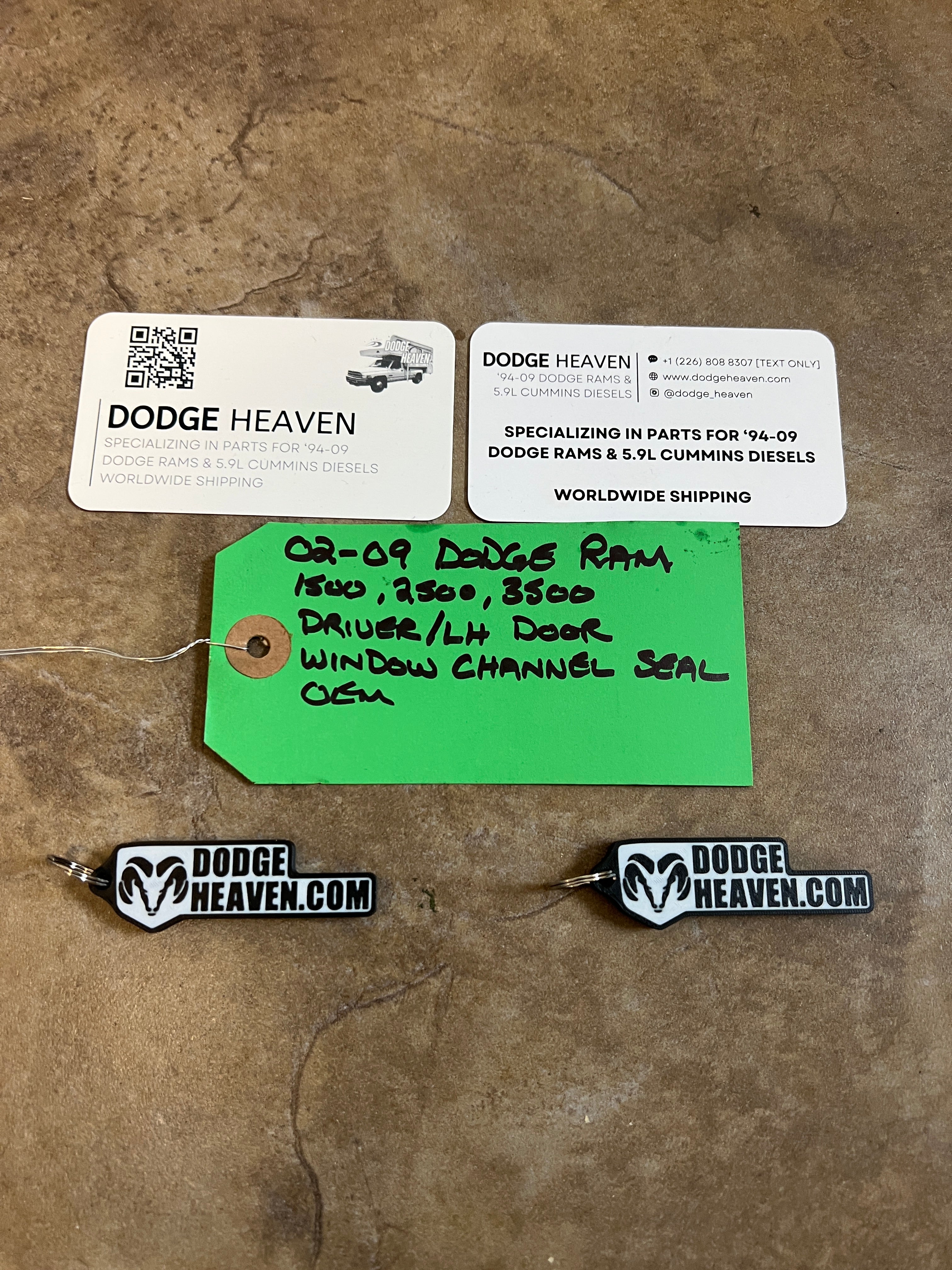 2002-2009 Dodge Ram Driver Front Door Window Channel Seal 1500 2500 3500