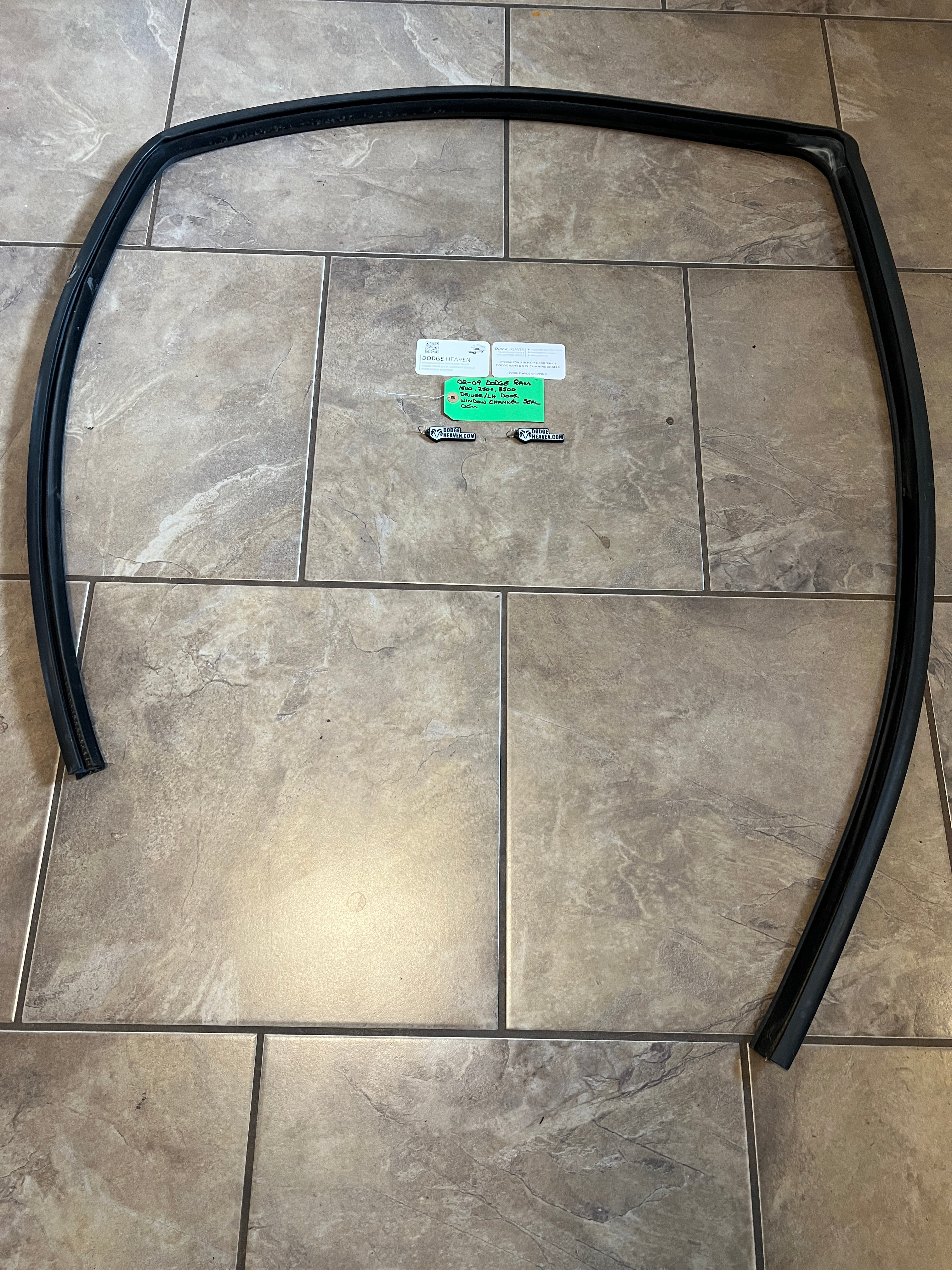 2002-2009 Dodge Ram Driver Front Door Window Channel Seal 1500 2500 3500