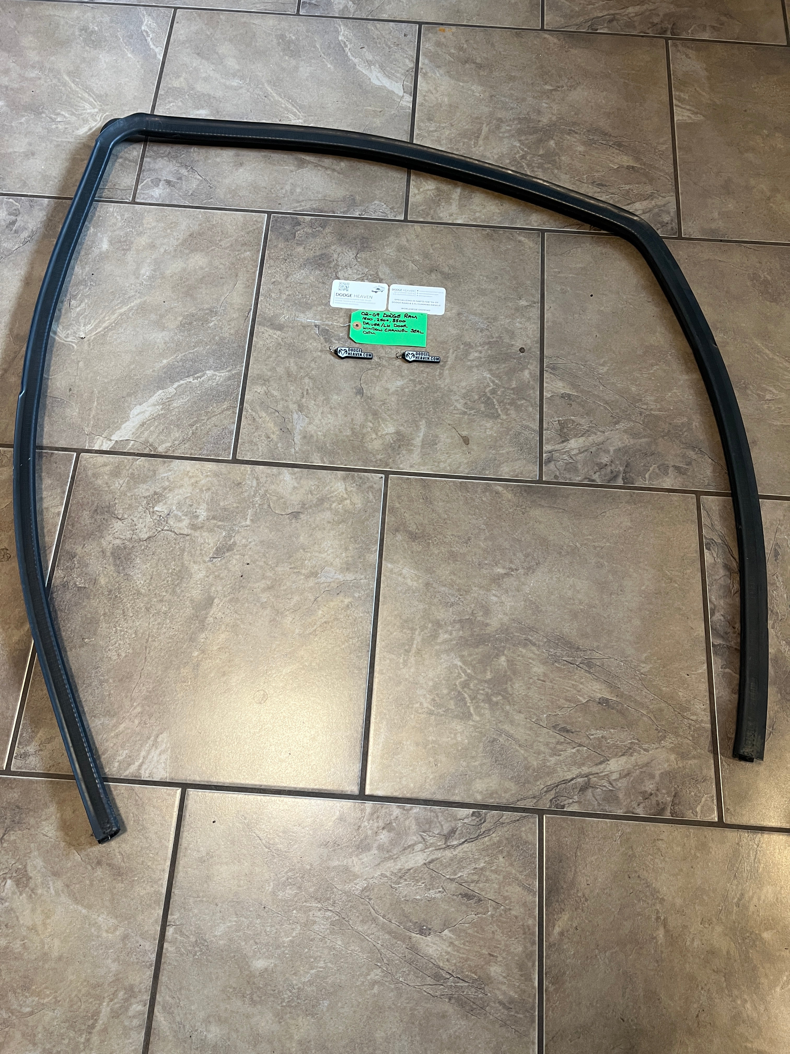 2002-2009 Dodge Ram Driver Front Door Window Channel Seal 1500 2500 3500
