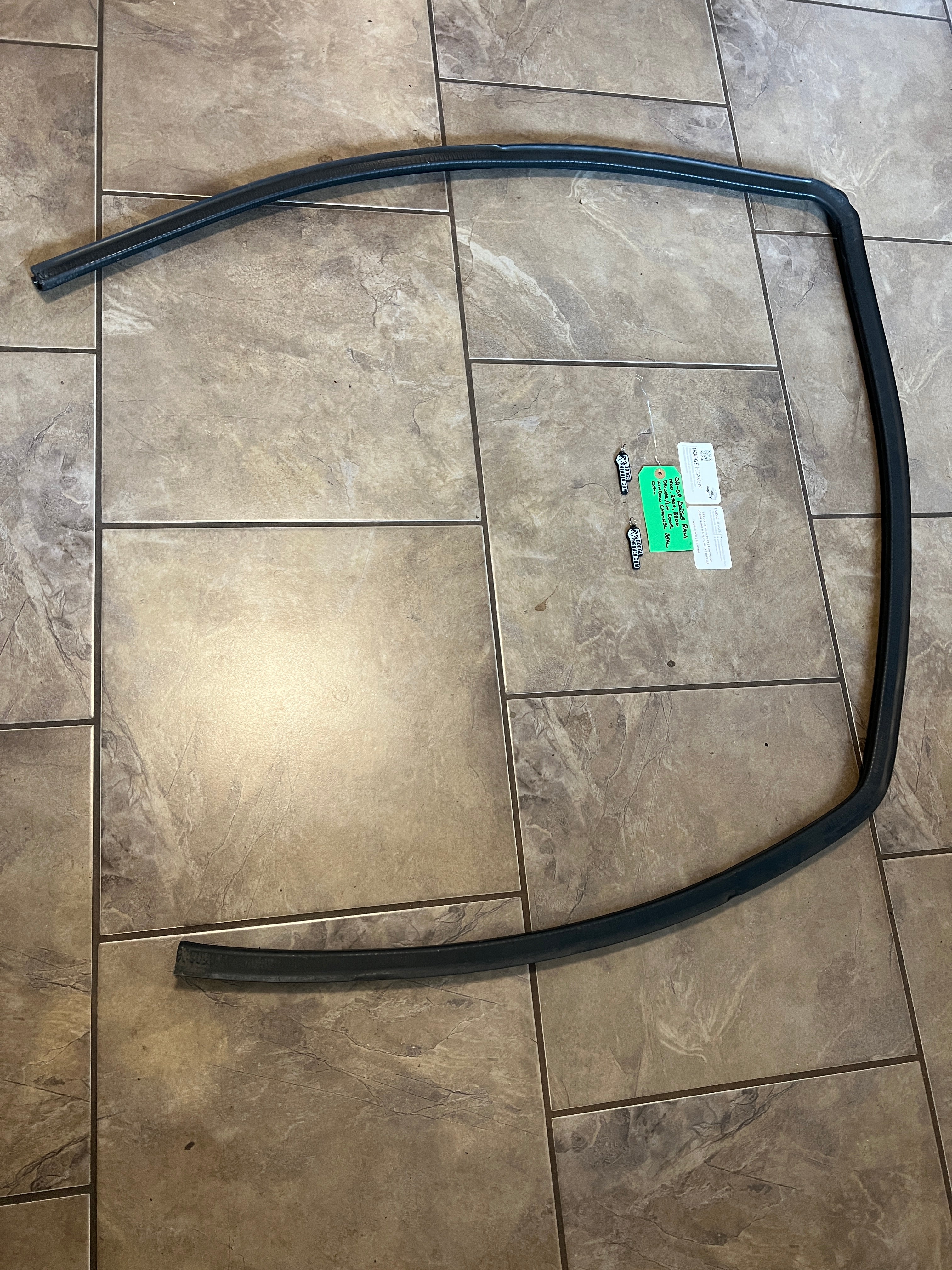 2002-2009 Dodge Ram Driver Front Door Window Channel Seal 1500 2500 3500