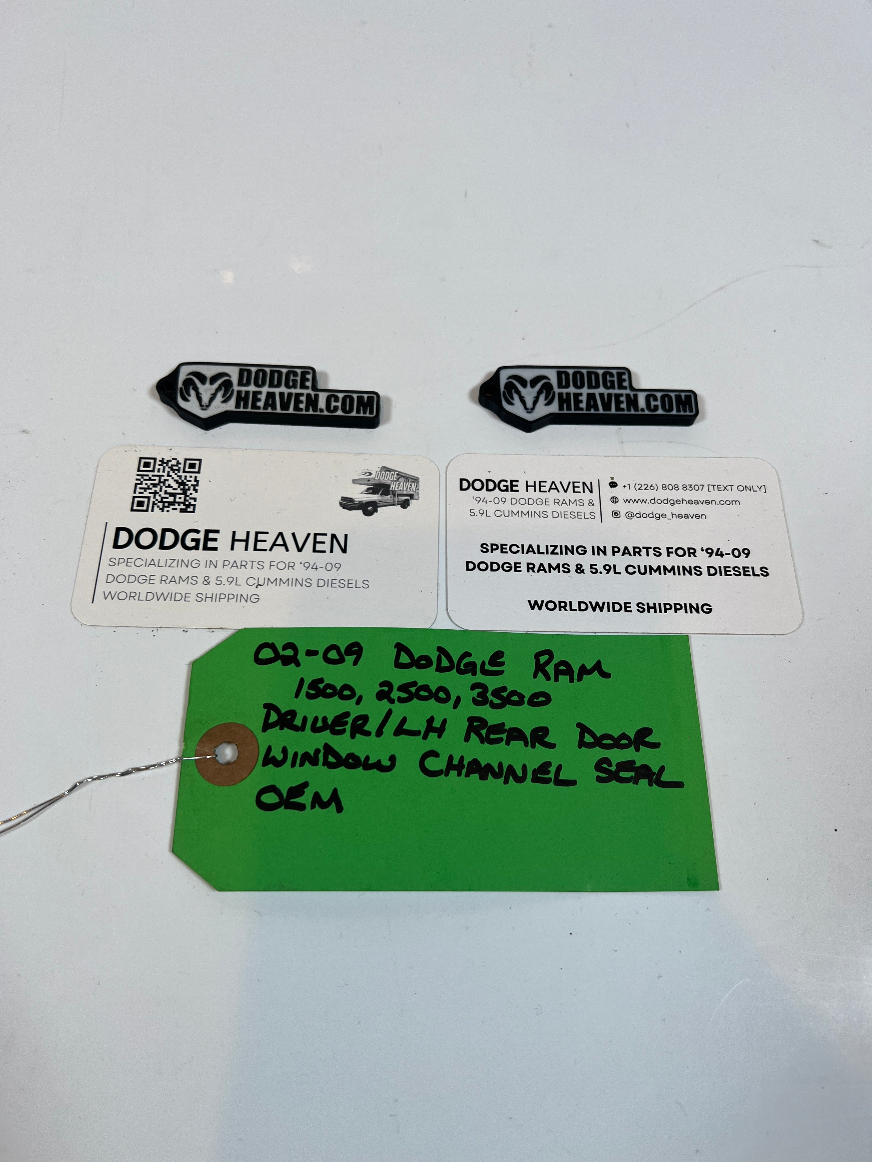 2002-2009 Dodge Ram Driver Rear Door Window Channel Seal 1500 2500 3500