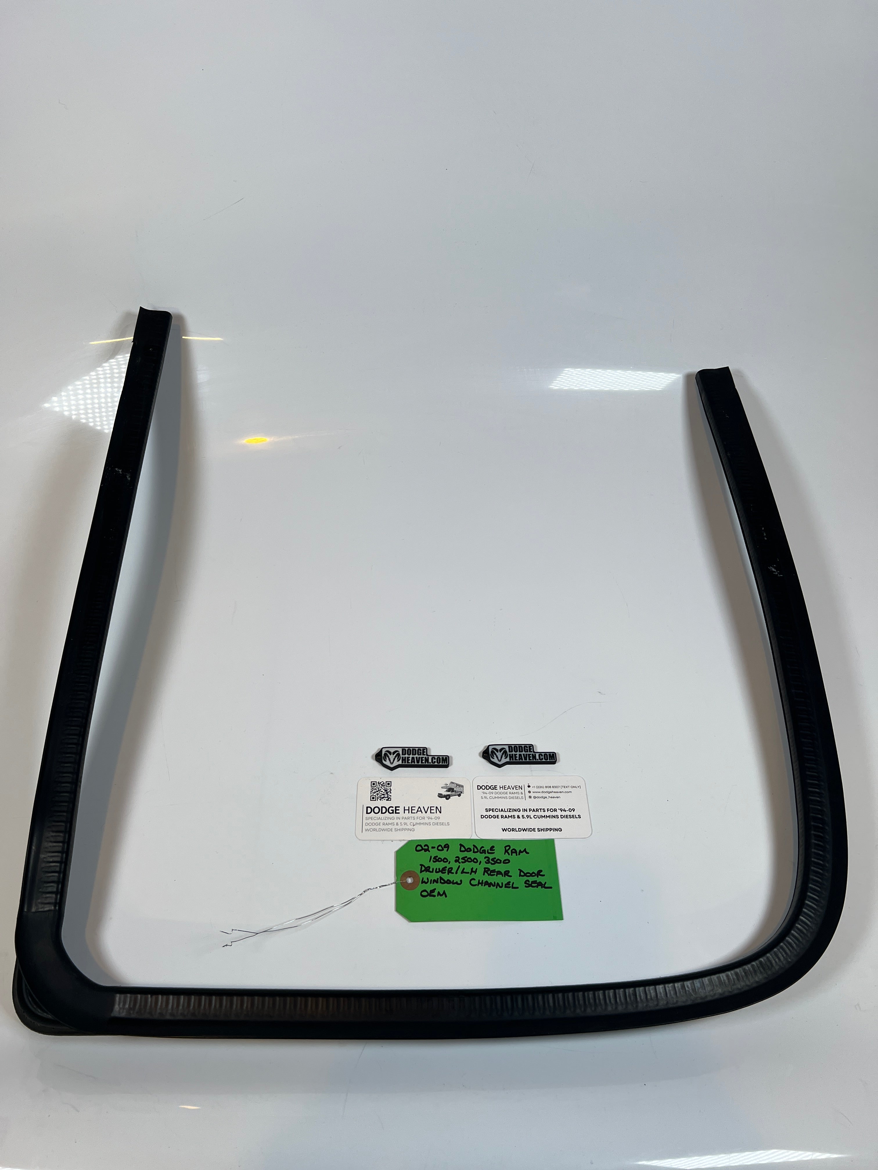 2002-2009 Dodge Ram Driver Rear Door Window Channel Seal 1500 2500 3500