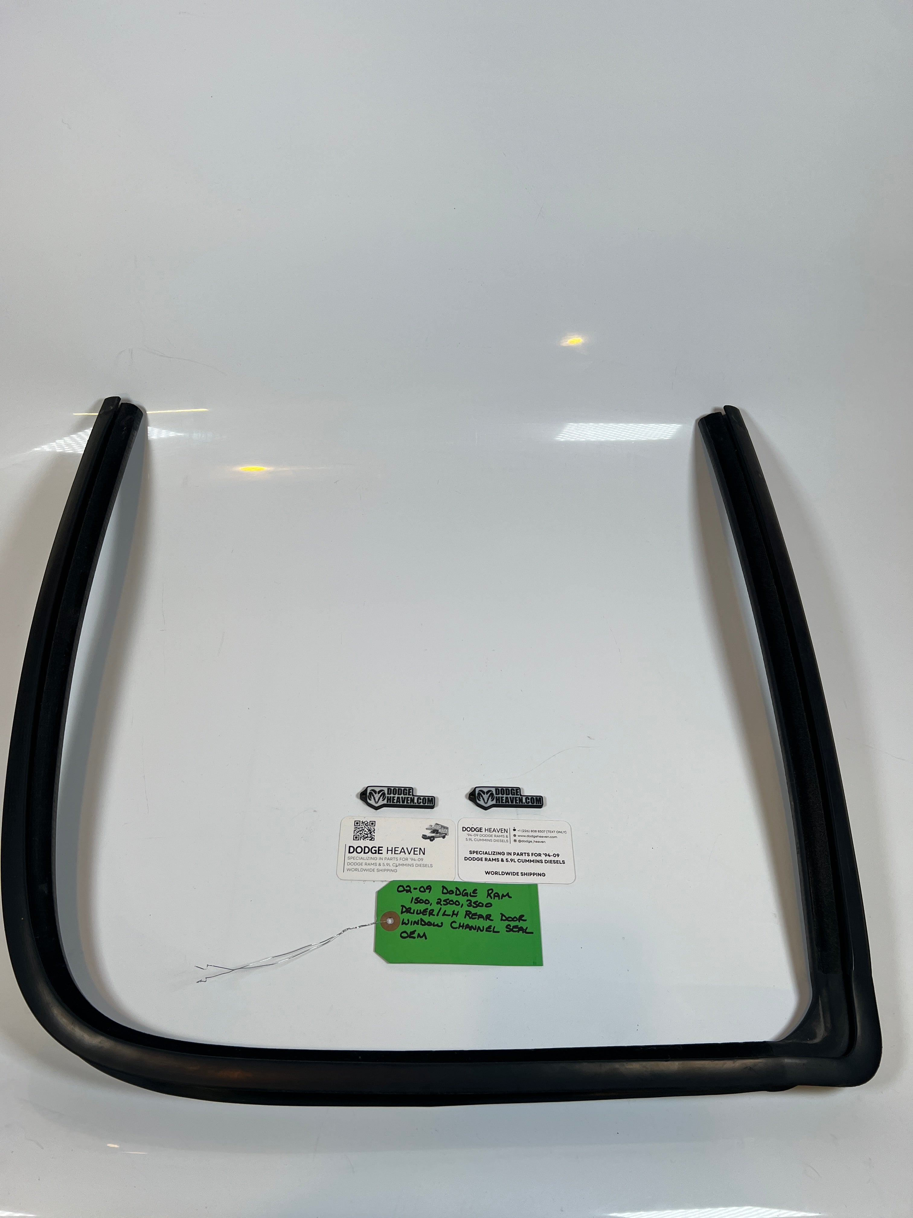 2002-2009 Dodge Ram Driver Rear Door Window Channel Seal 1500 2500 3500