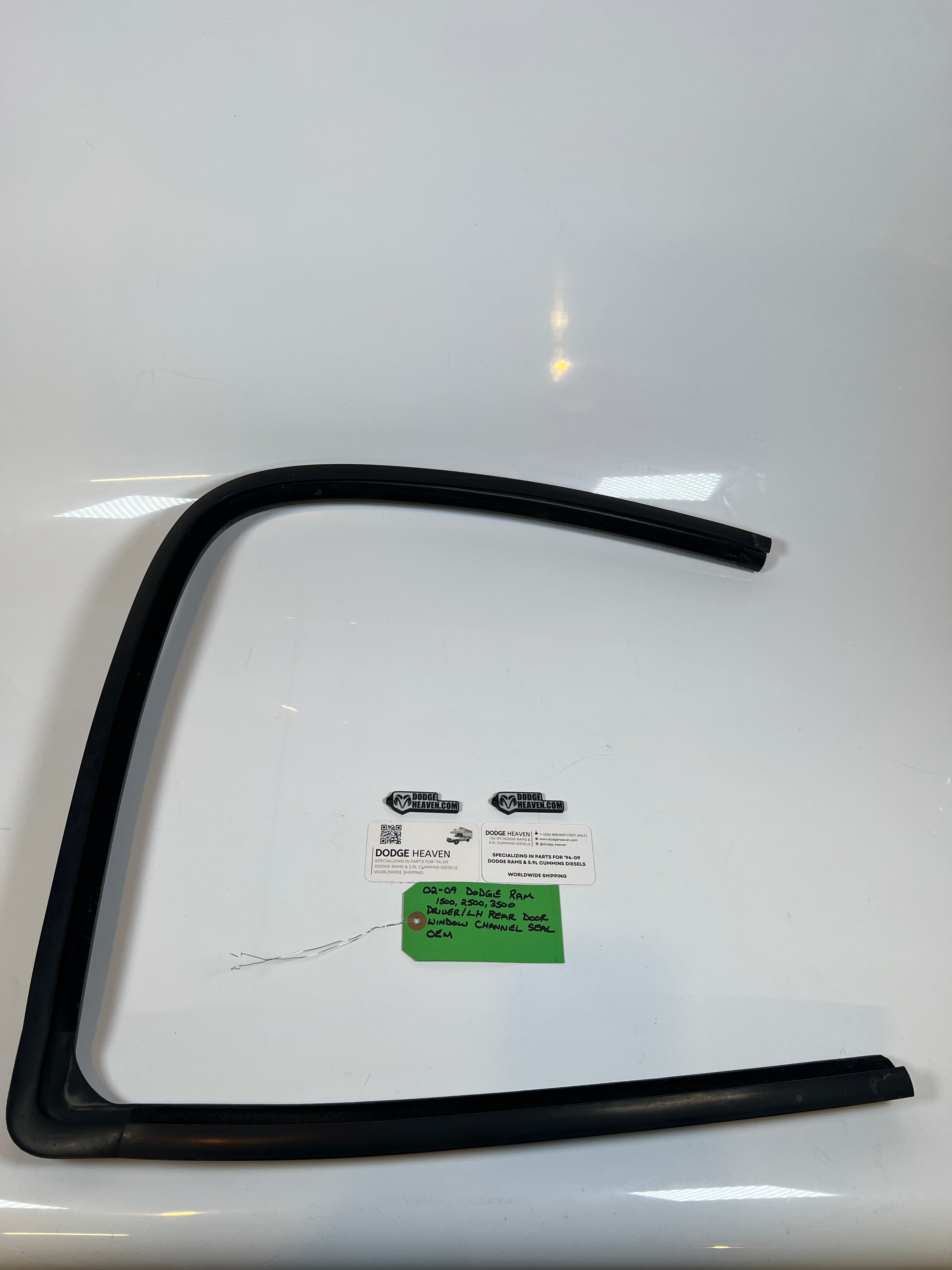 2002-2009 Dodge Ram Driver Rear Door Window Channel Seal 1500 2500 3500