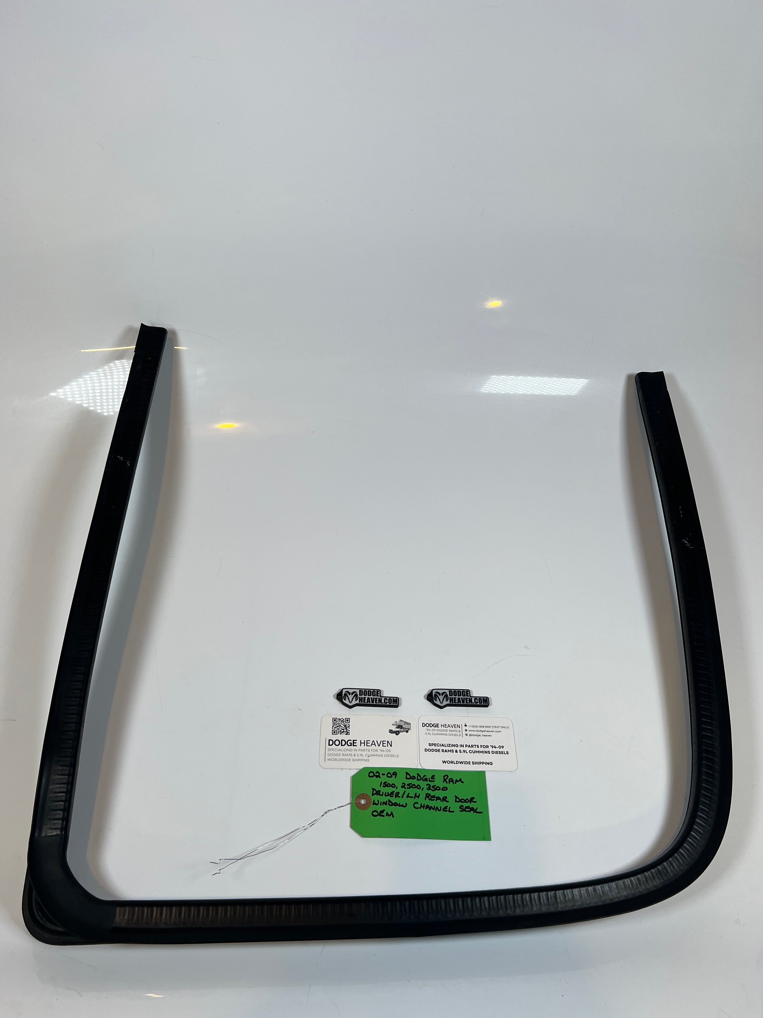 2002-2009 Dodge Ram Driver Rear Door Window Channel Seal 1500 2500 3500