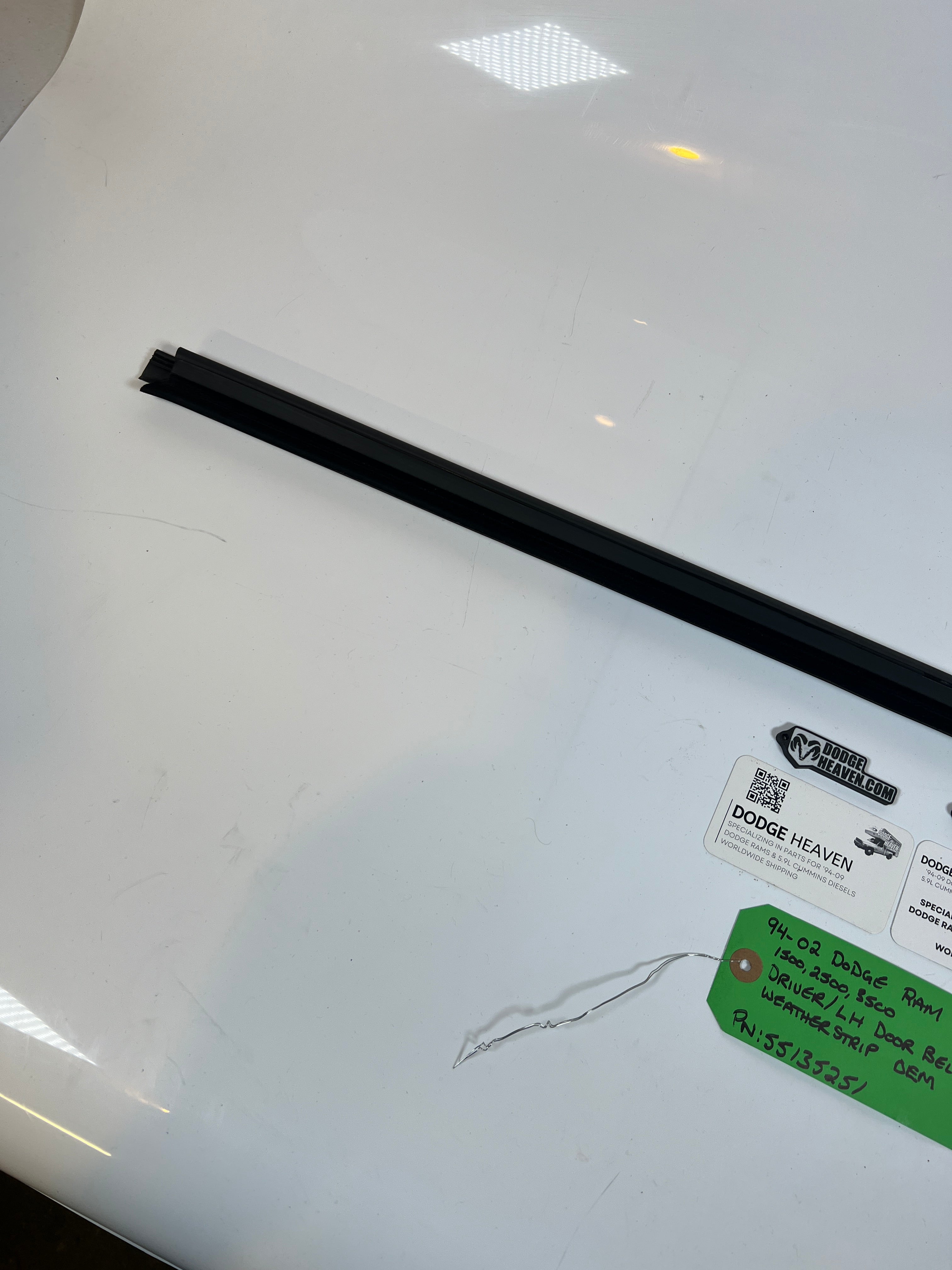 1994-2002 Dodge Ram Driver / LH Door Belt Weather Strip 1500-3500