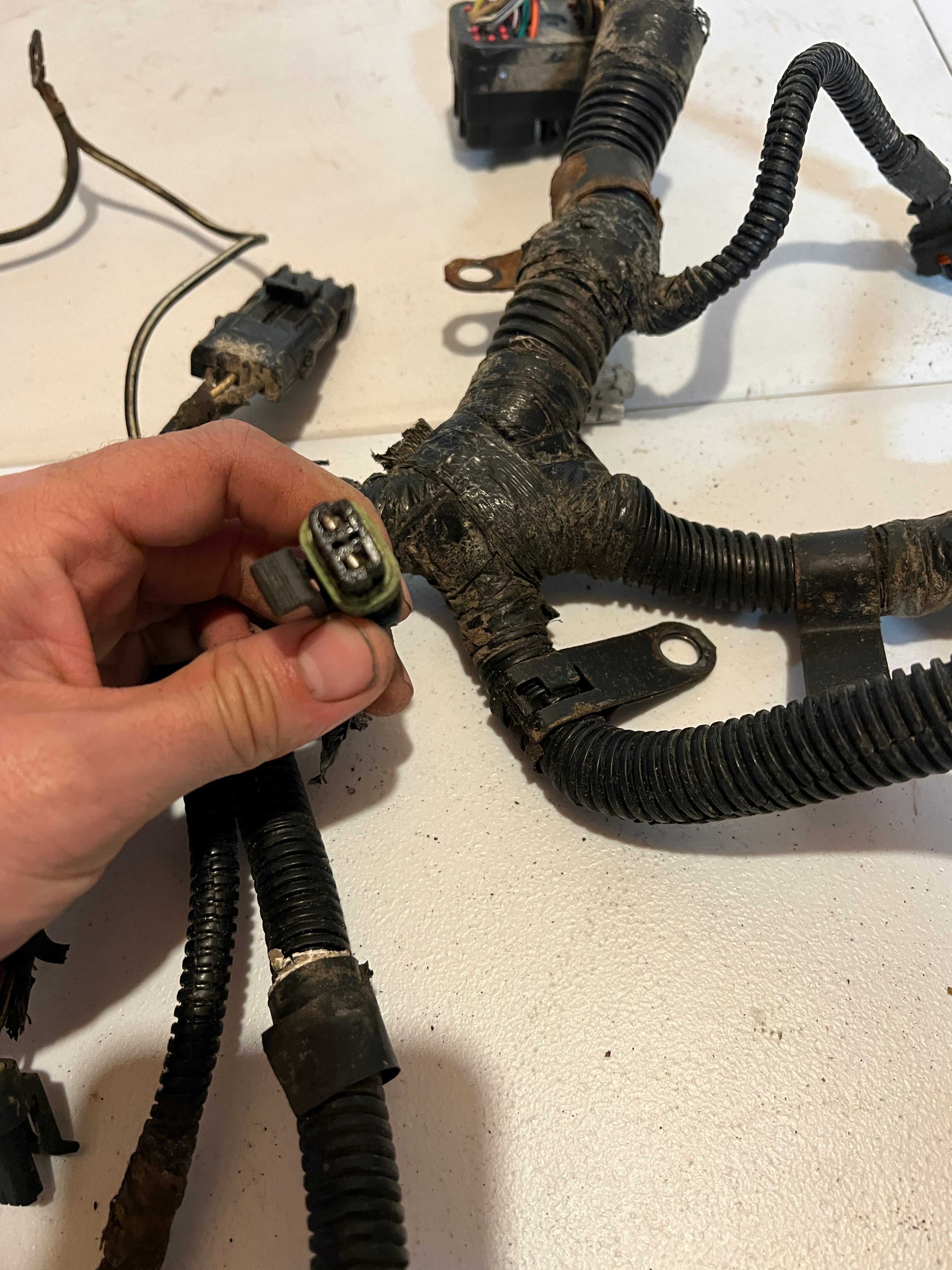 2003-2003 Dodge Ram 2500 3500 5.9L Cummins Engine Wiring Harness