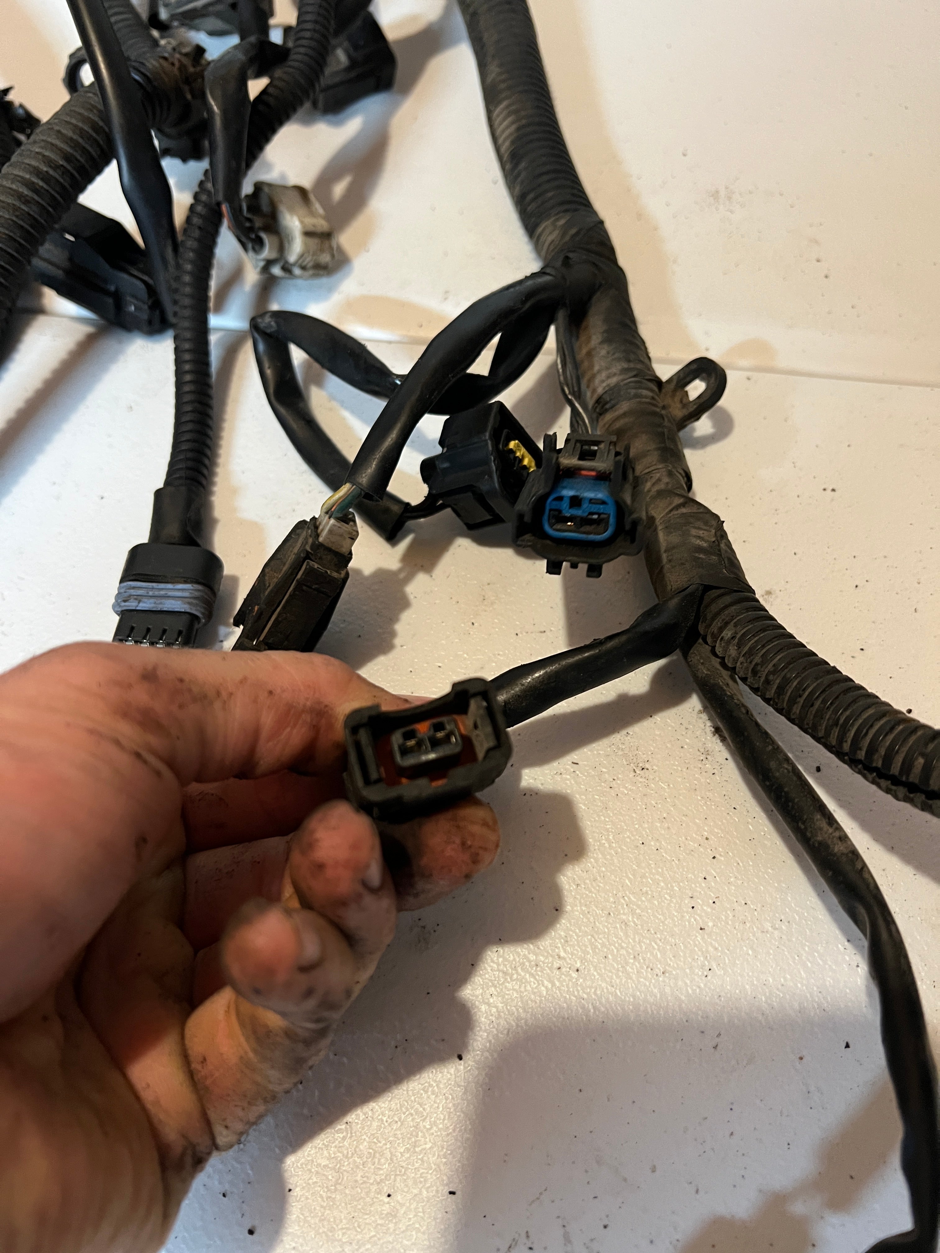 1999-1999 Dodge Ram 5.2L/5.9L Gas Engine/Trans Wiring Harness