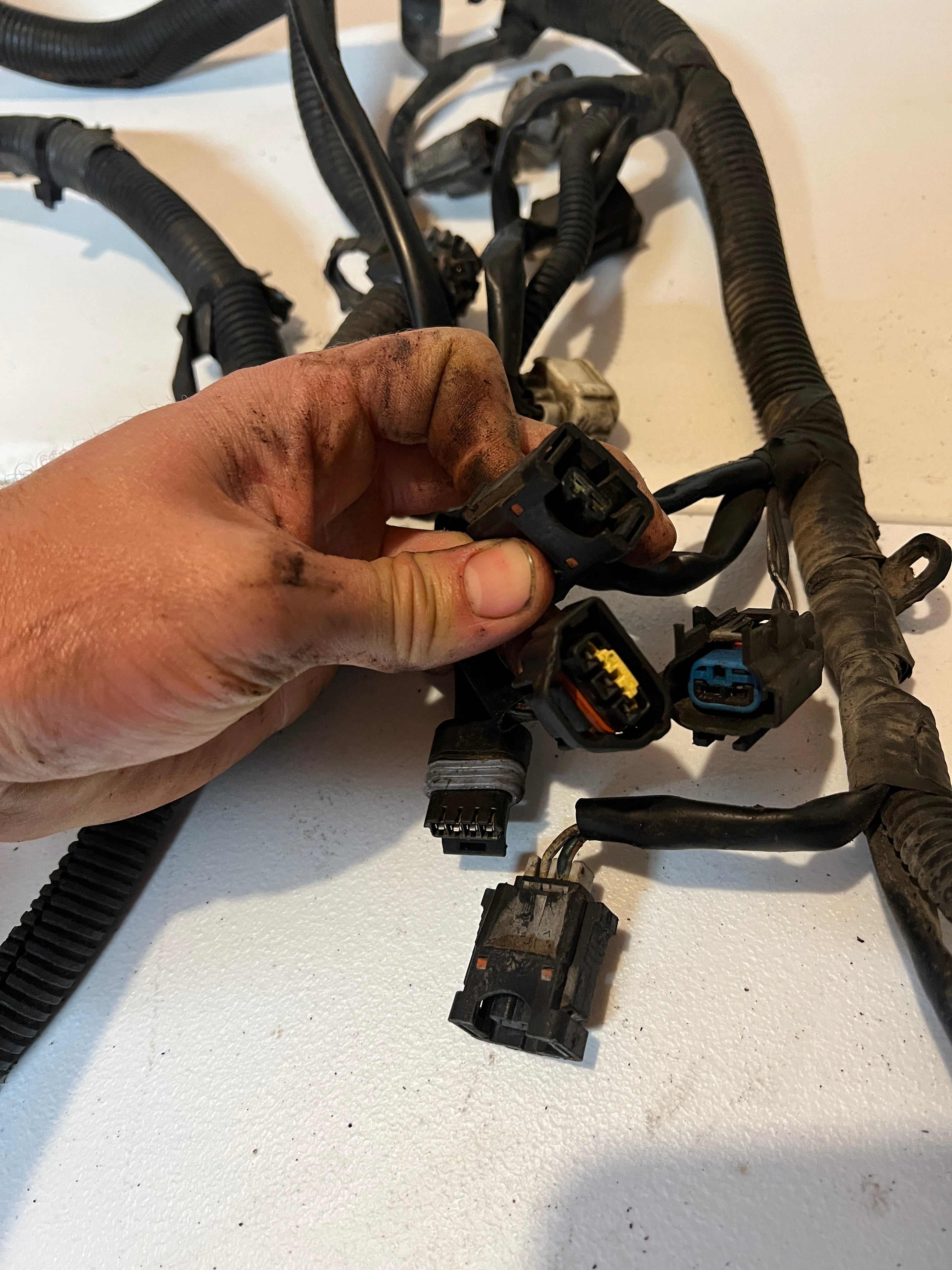 1999-1999 Dodge Ram 5.2L/5.9L Gas Engine/Trans Wiring Harness