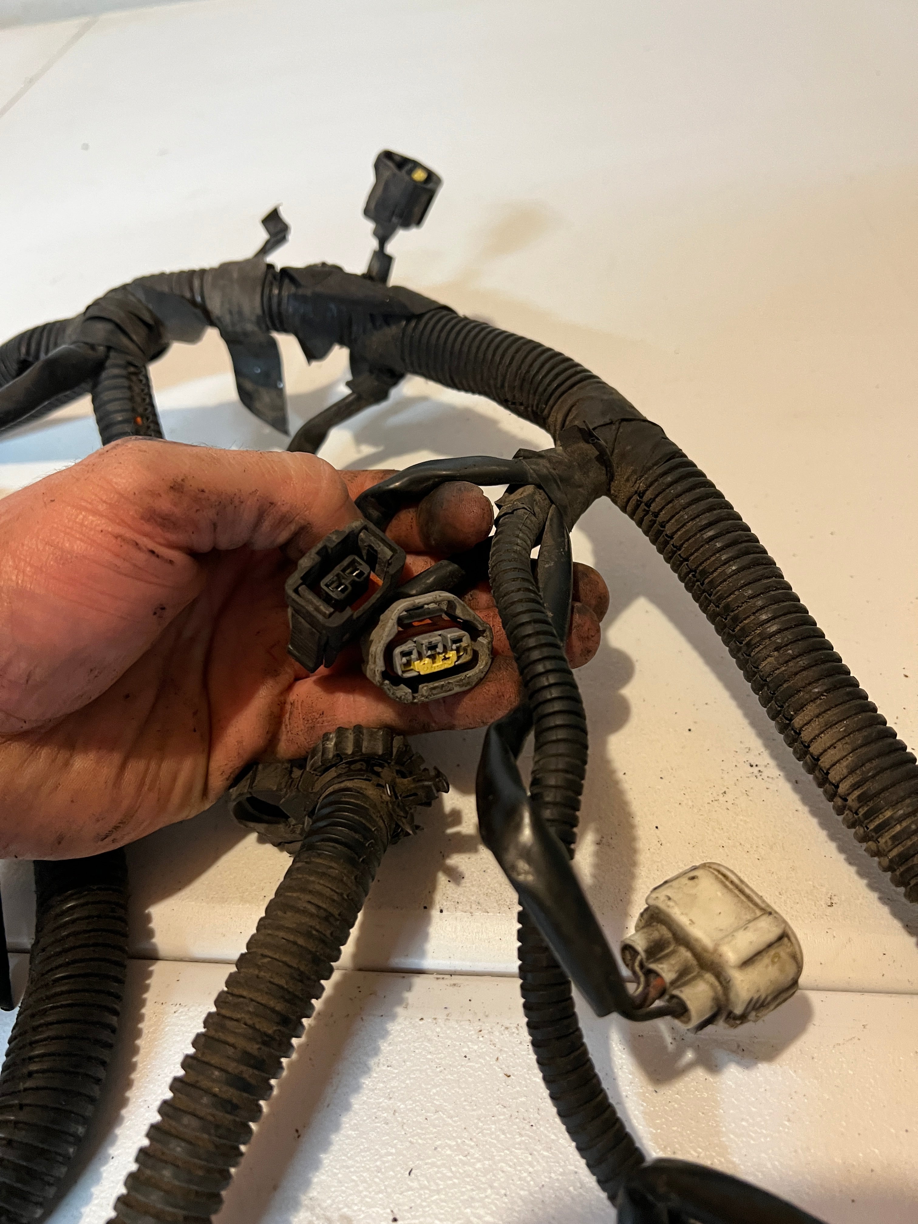 1999-1999 Dodge Ram 5.2L/5.9L Gas Engine/Trans Wiring Harness