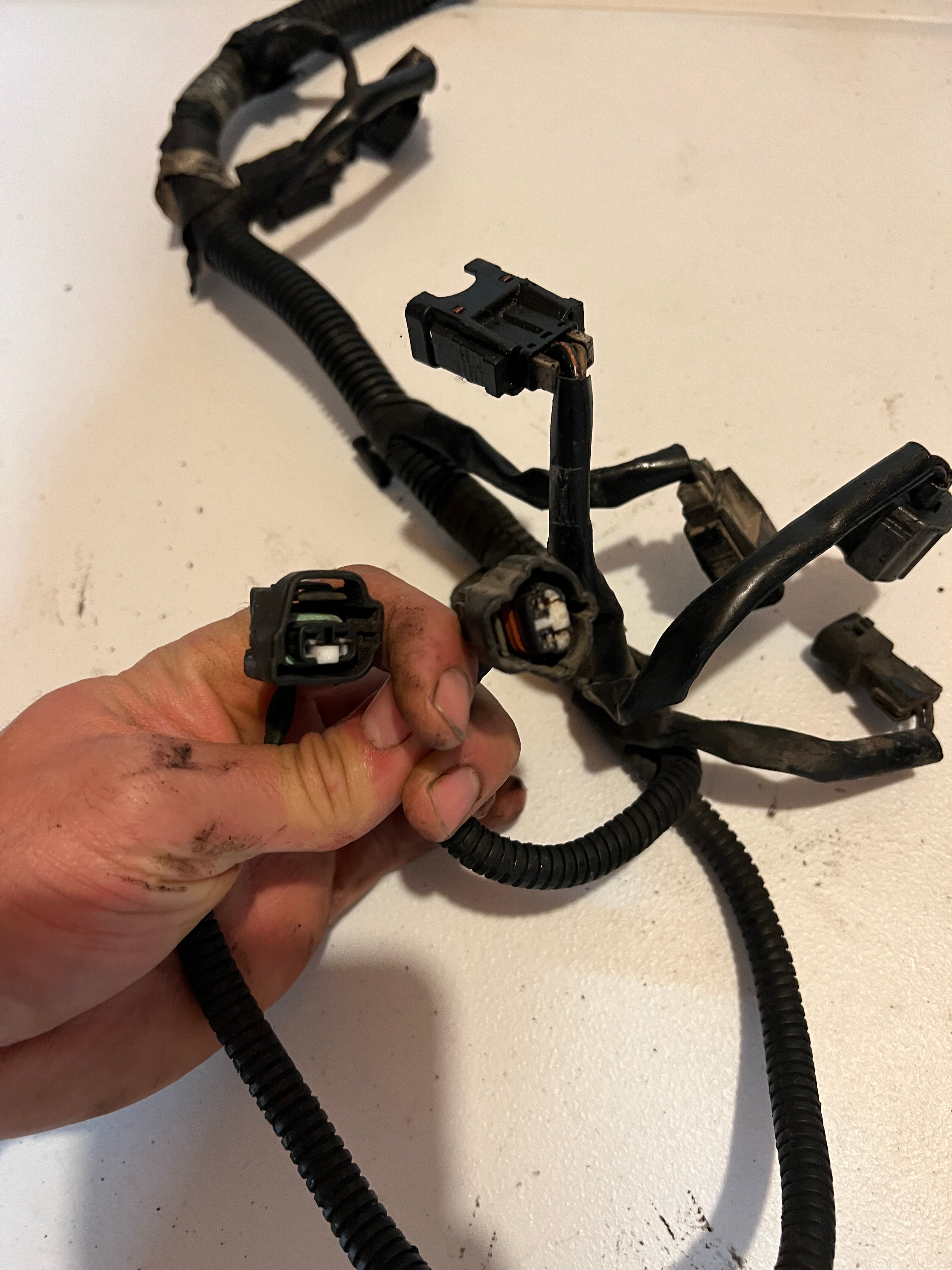 1999-1999 Dodge Ram 5.2L/5.9L Gas Engine/Trans Wiring Harness