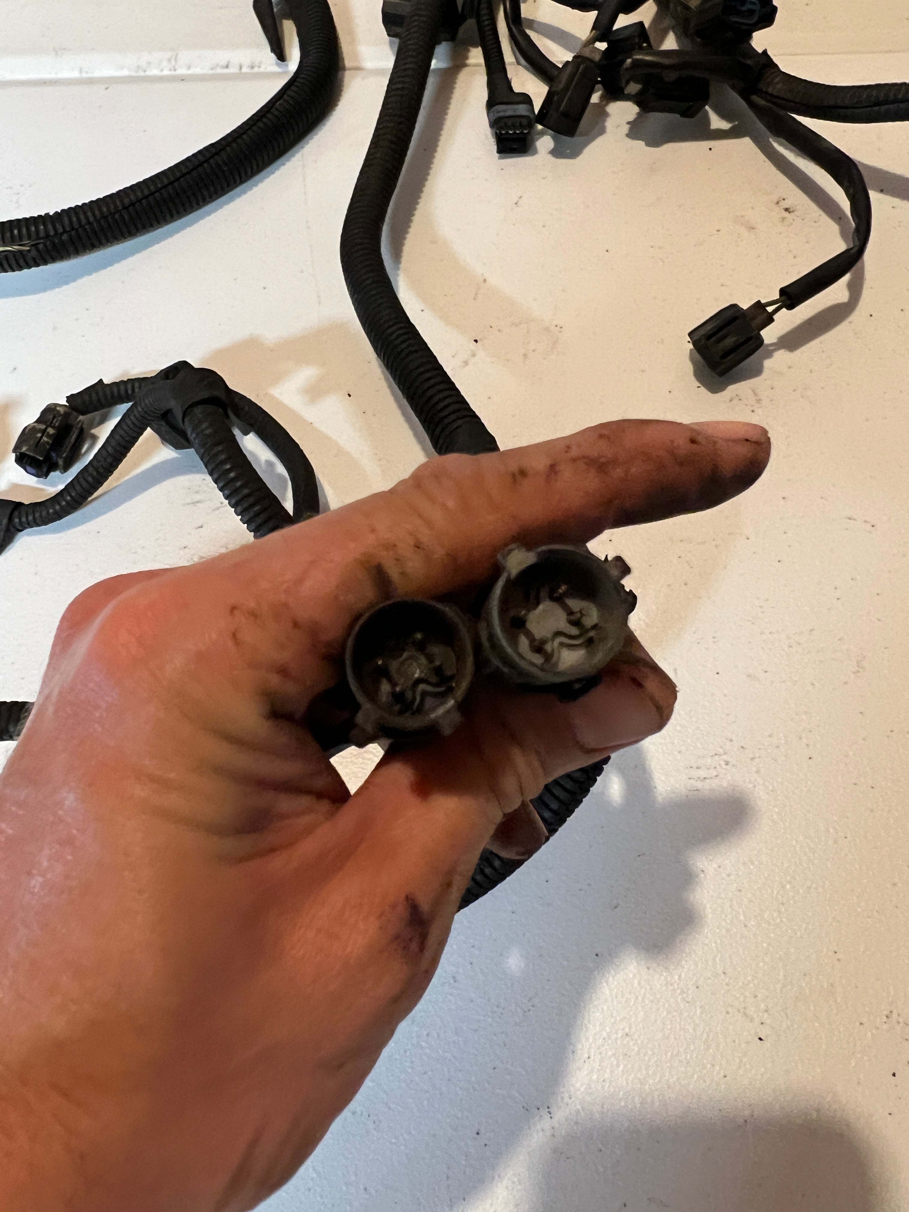 1999-1999 Dodge Ram 5.2L/5.9L Gas Engine/Trans Wiring Harness