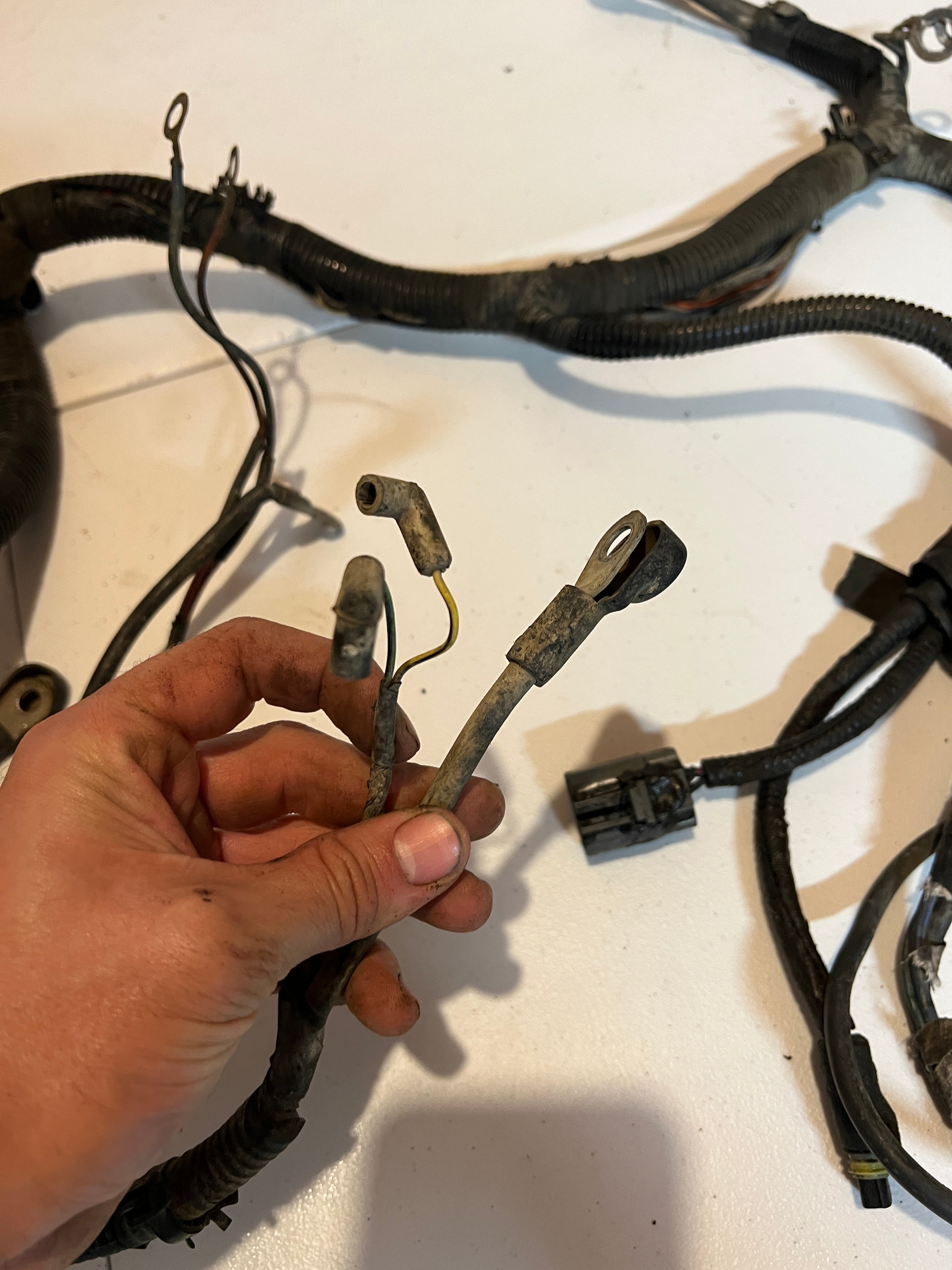 1994-1995 Dodge Ram 5.9L 12v Cummins 5SPD Manual Engine & Trans Harness