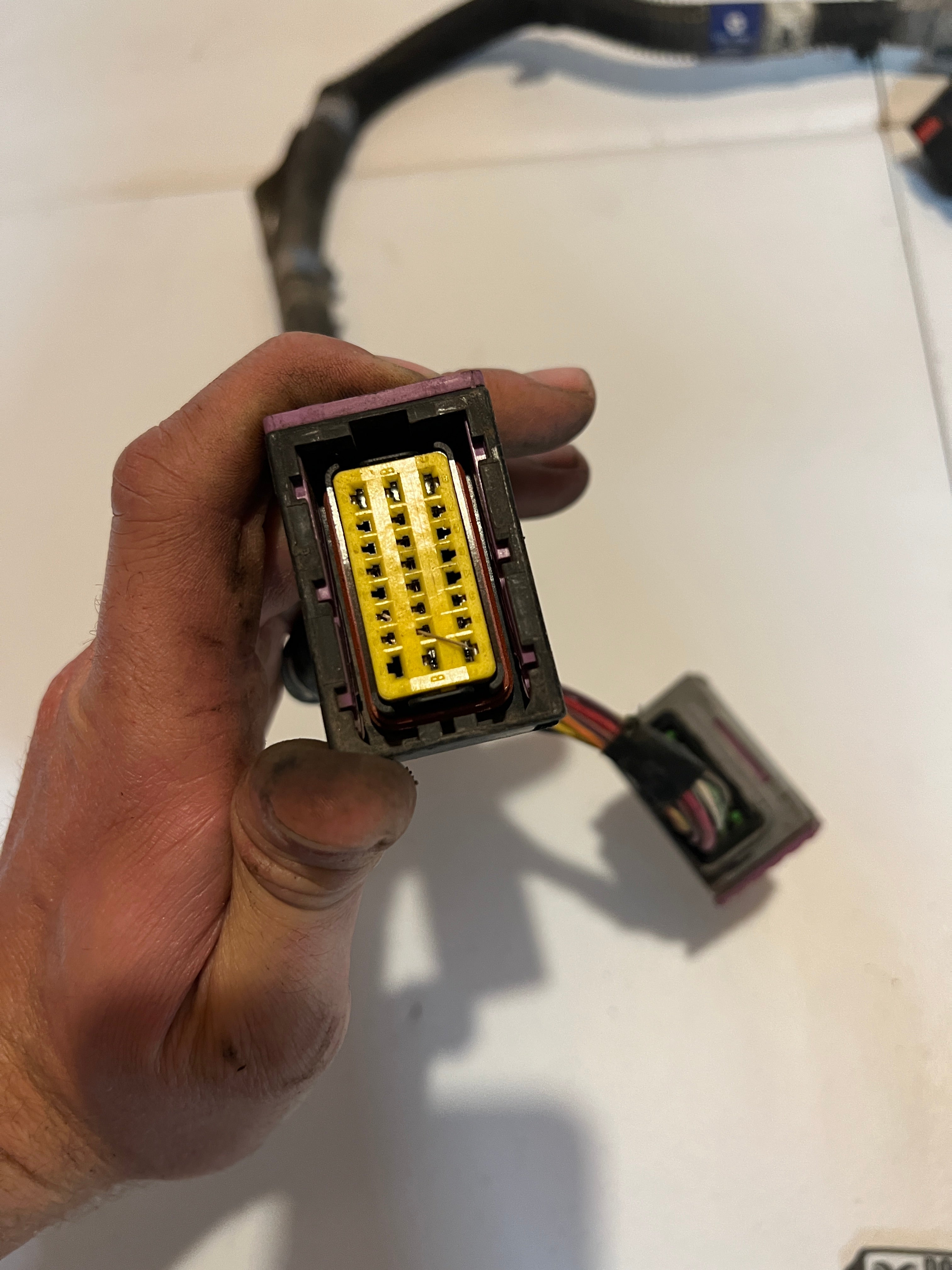 2004-2004 Dodge Ram 2500 3500 5.9L Cummins Transmission Wiring Harness