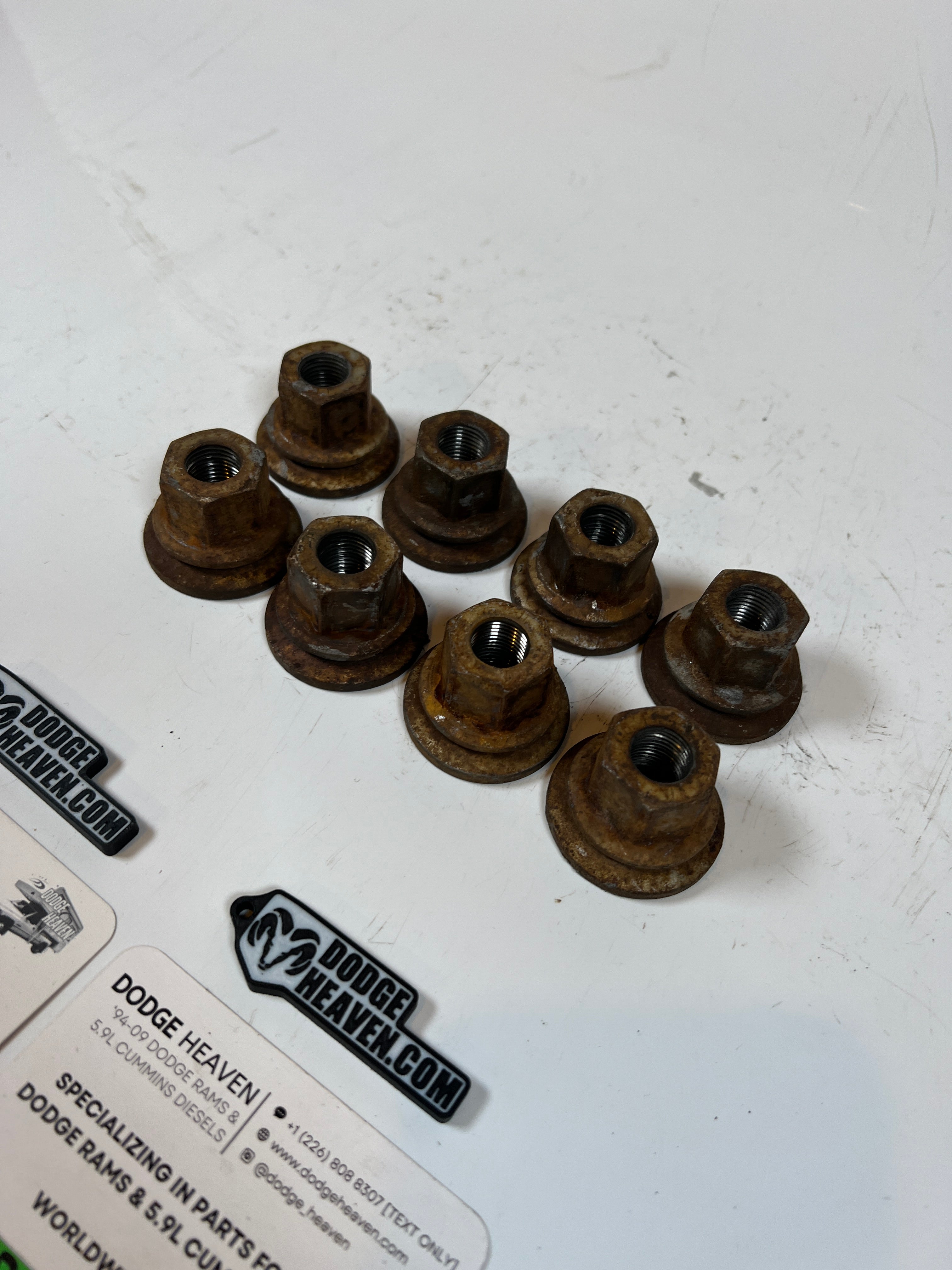 1994-2011 Dodge Ram 3500 DRW Dually Wheel Lug Nuts 9/16-18 (24MM) Qty 8