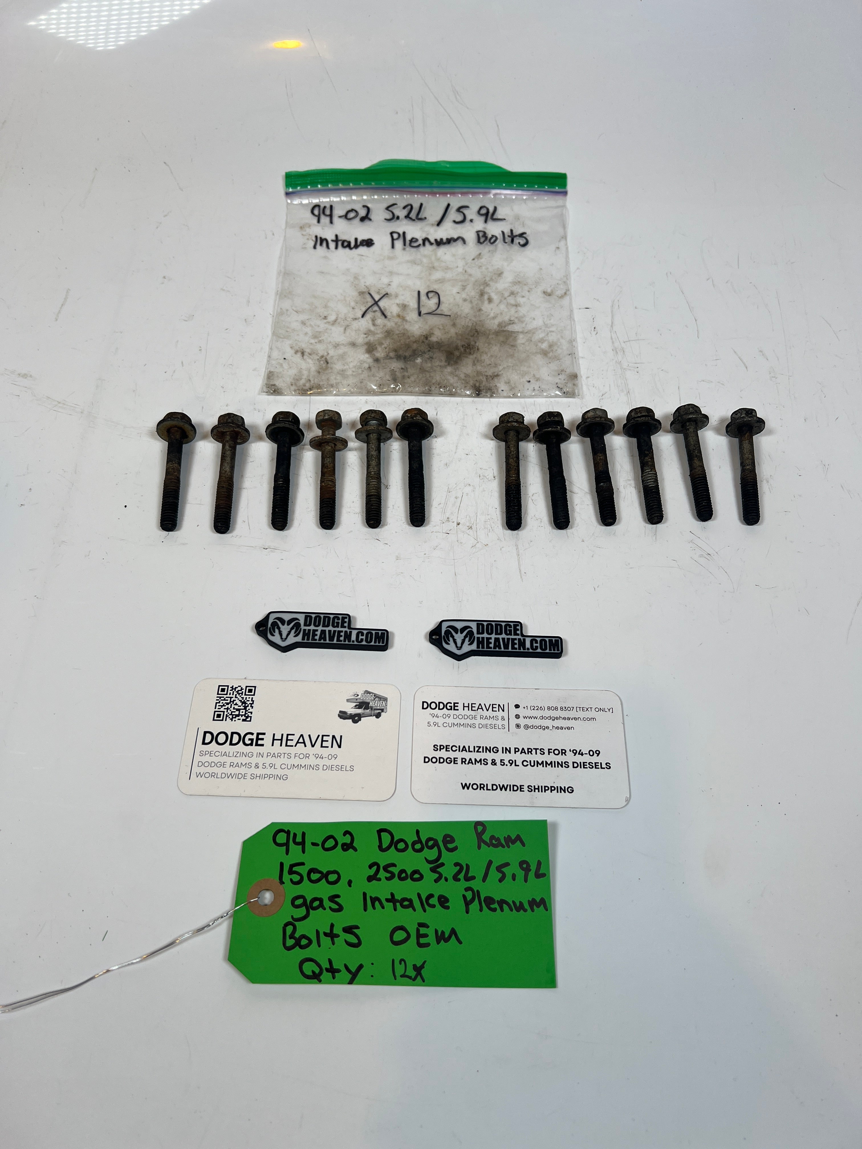 1994-2002 Dodge Ram 1500 2500 5.2L / 5.9l Gas Intake Plenum Bolts Qty 12