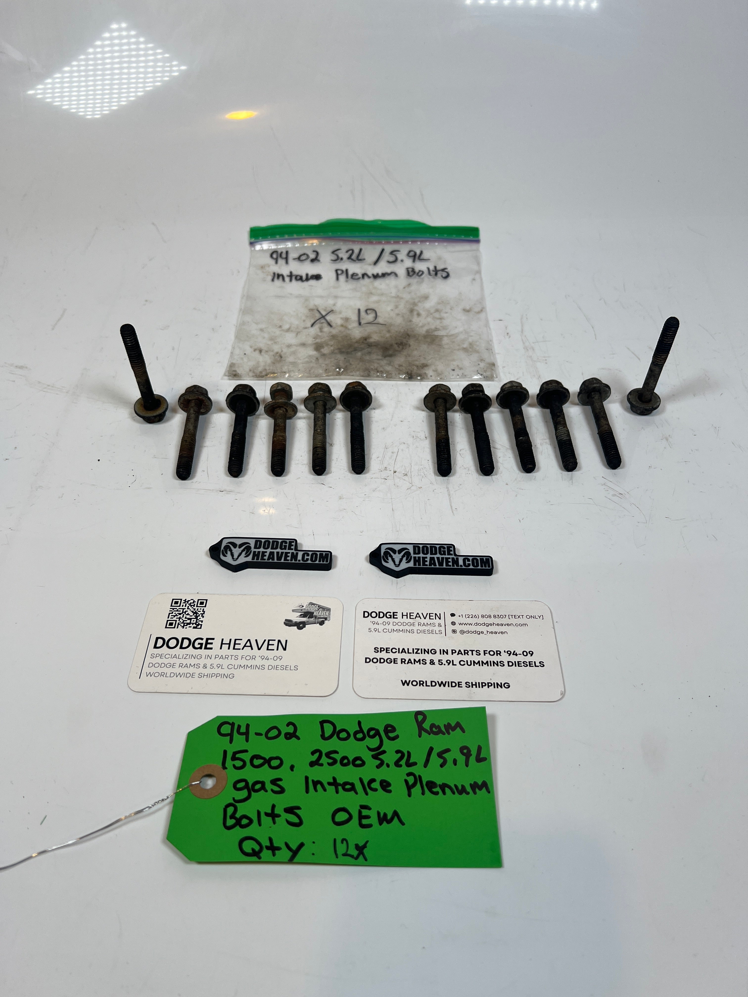 1994-2002 Dodge Ram 1500 2500 5.2L / 5.9l Gas Intake Plenum Bolts Qty 12